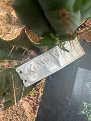 -👑🌶️ Kimnach — 11” Pup