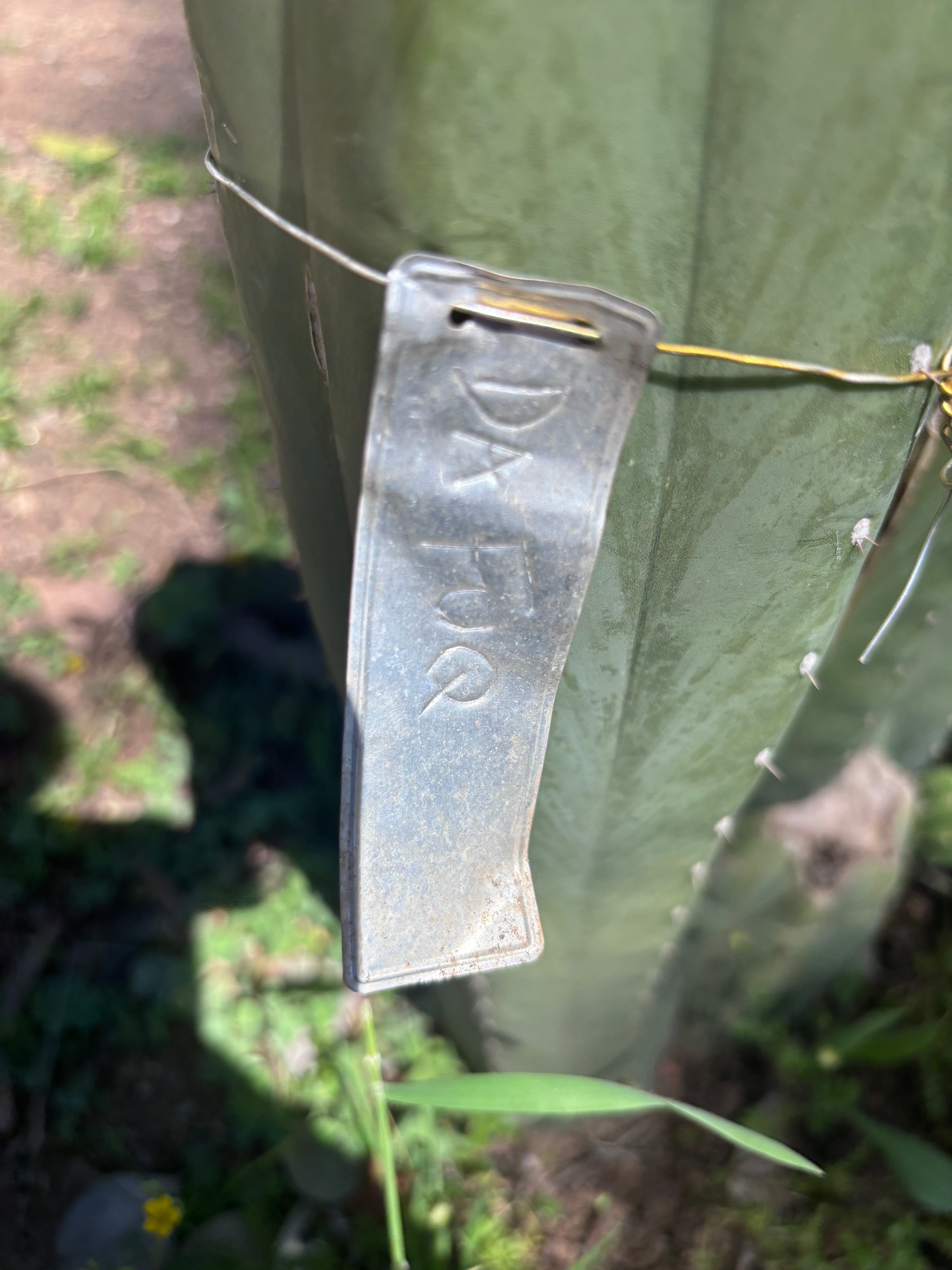 👑🌶️ DaFuq —  XL 14” Pup