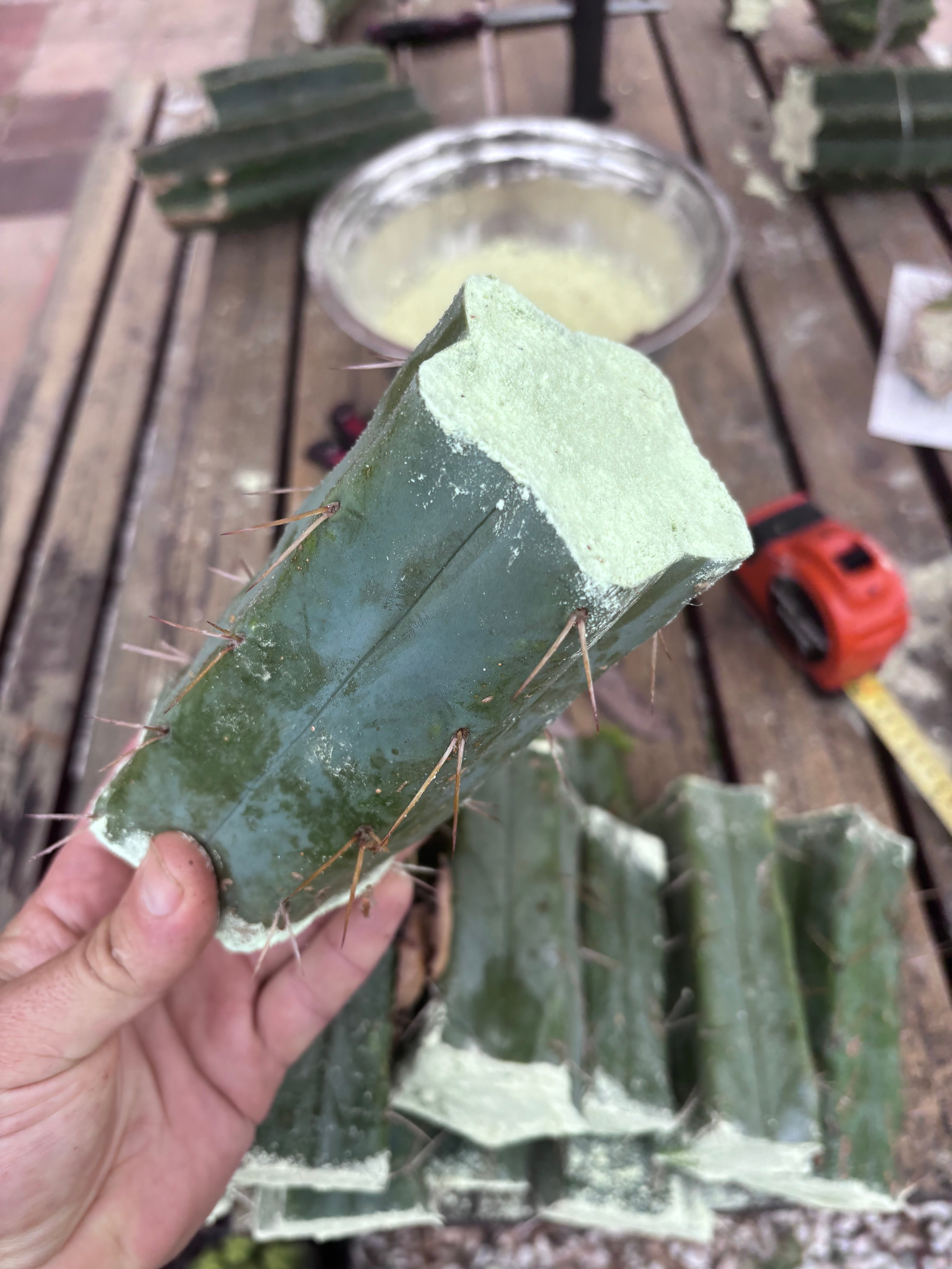 FREE ADD-ON — 🌶️ Hammer Bridge — 6” Mid