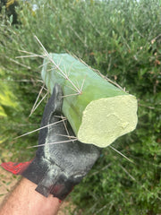 👑🌶️ Custom Listing for Scott C