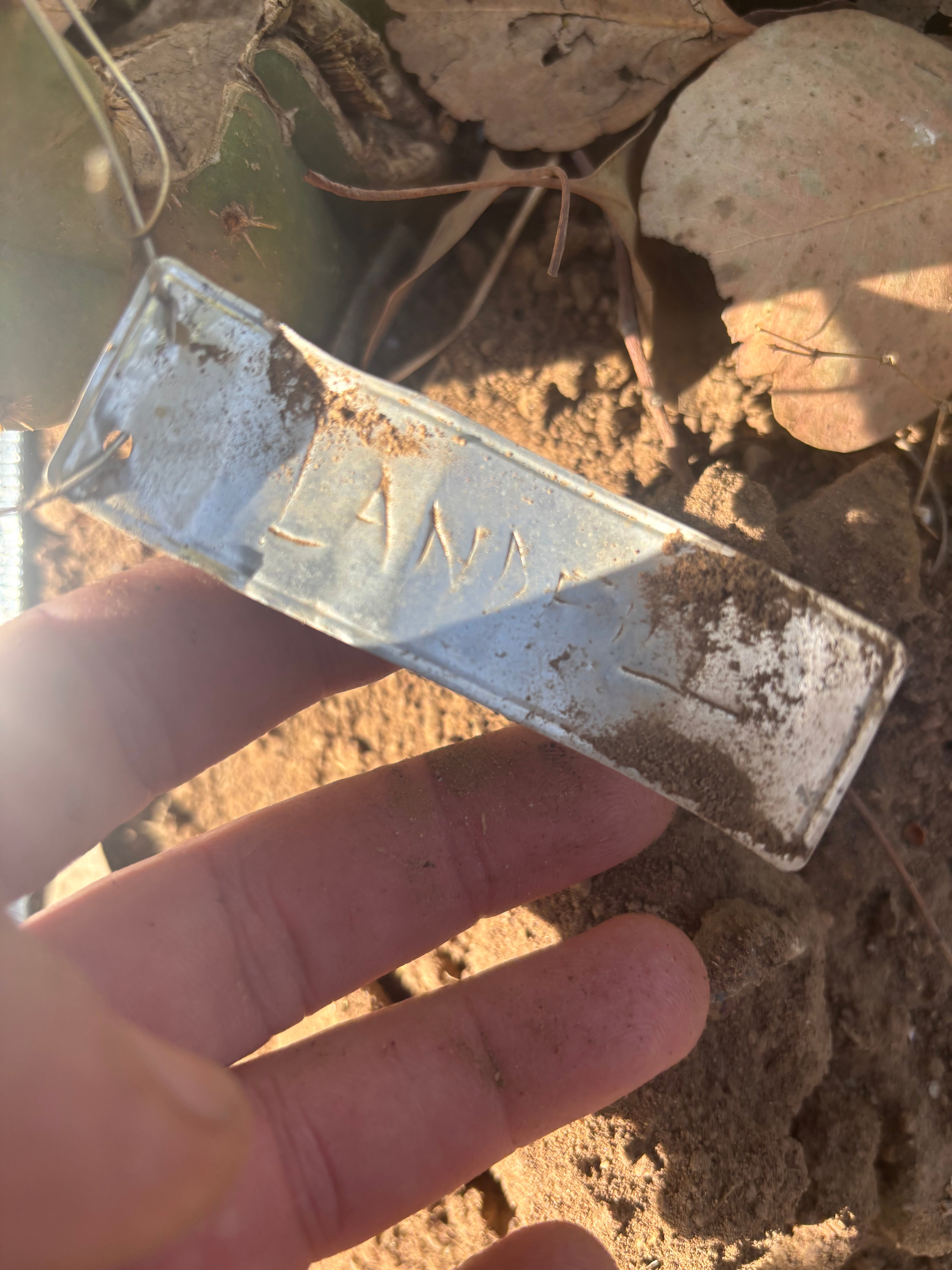 👑🌶️🌶️ Landfill — 9” Pup