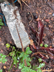 👑🌶️ DeLorean — XL 14” Pup