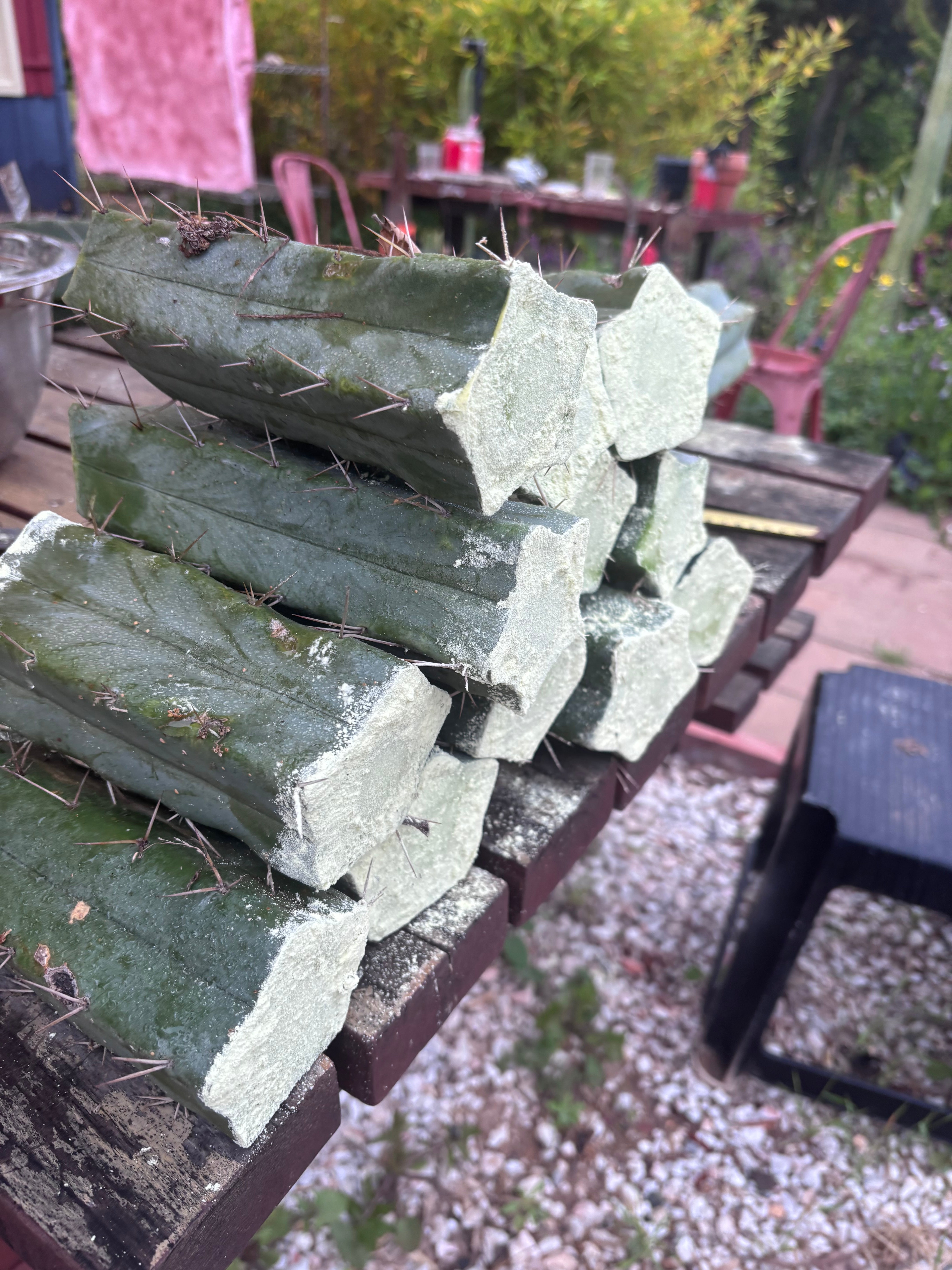 FREE ADD-ON — 🌶️ Hammer Bridge — 6” Mid