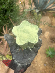 New FREE ADD-ON  — 🌶️ Chuck’s Bridge — 3-4” Roota-Chonk.