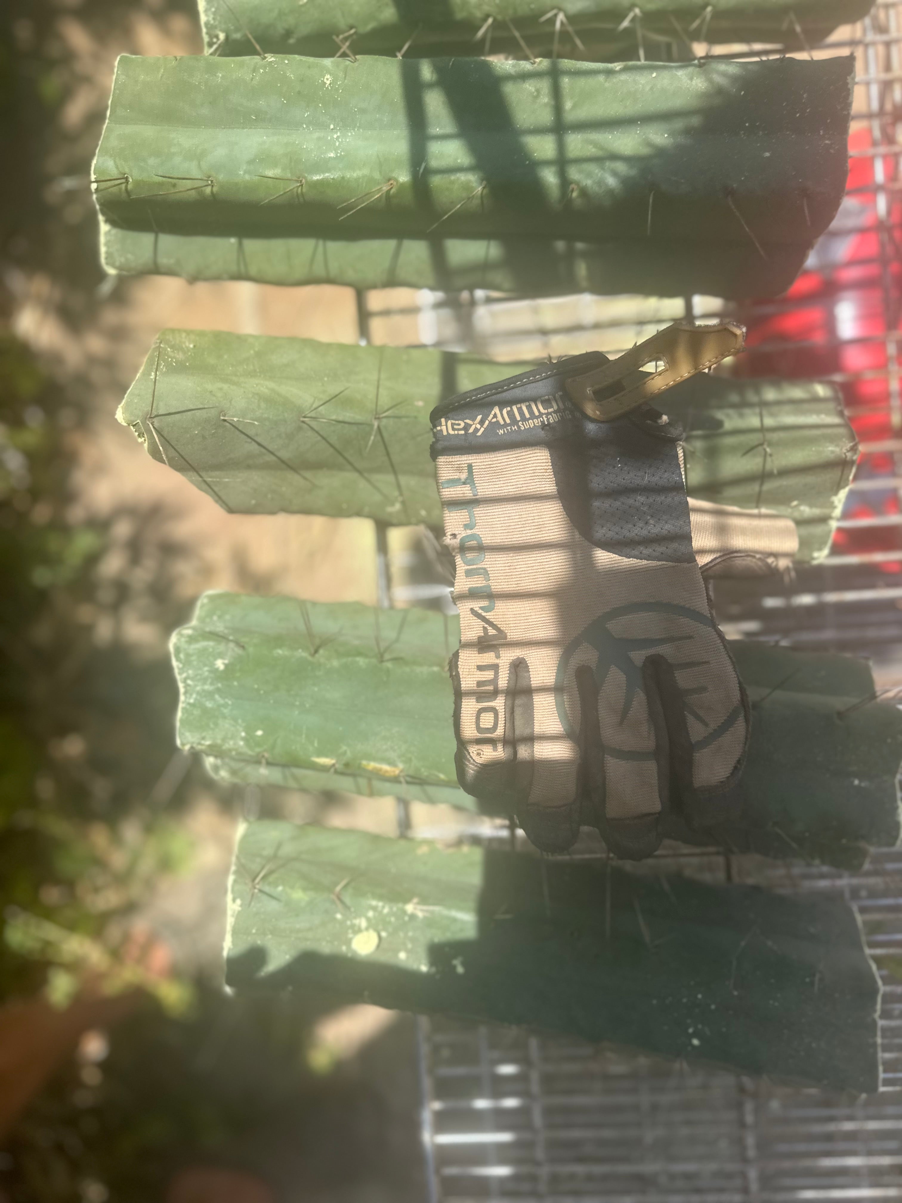 👑🌶️🌶️ Eileen — Max Thickness 14” Mid Cuts