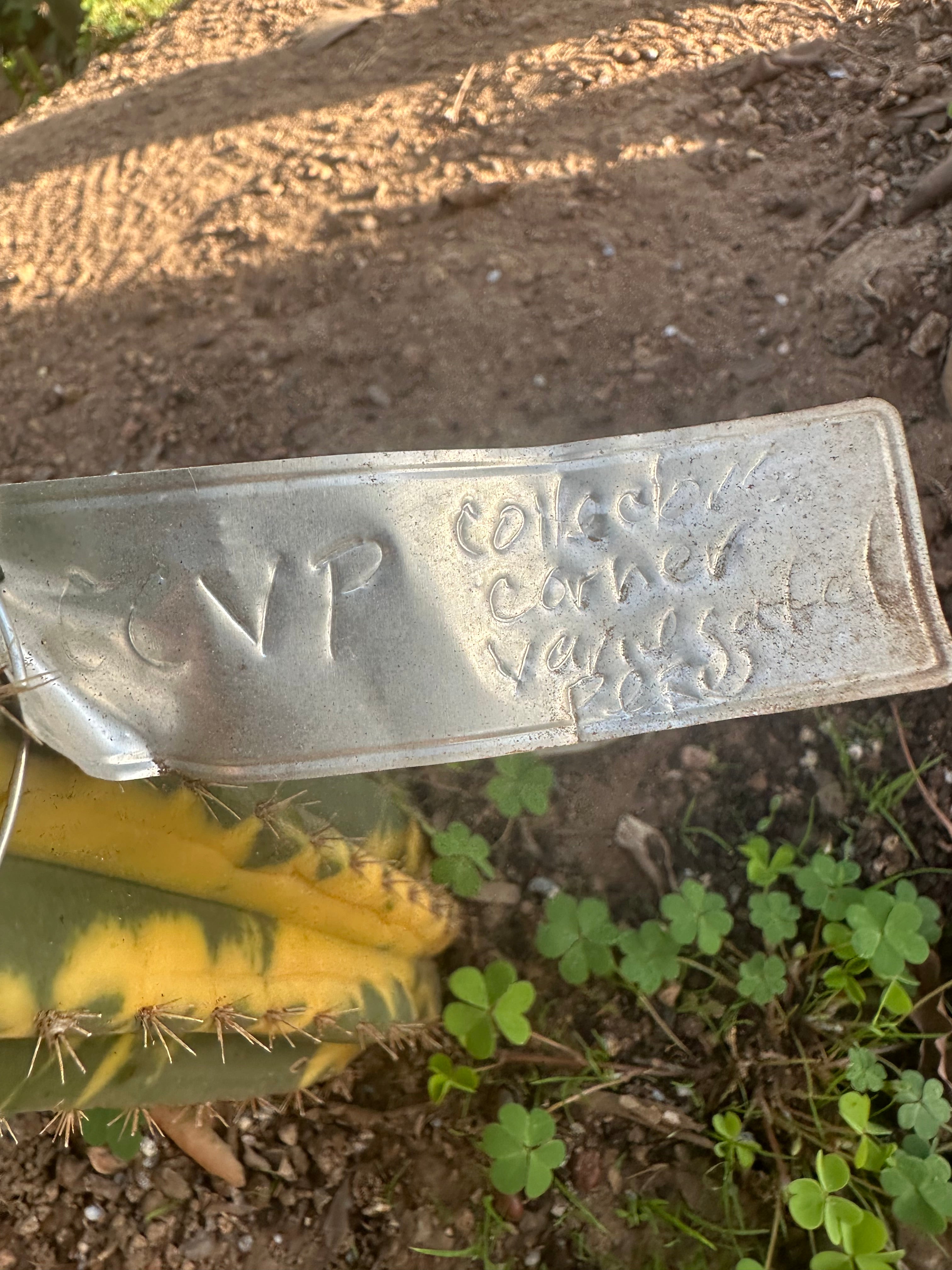 💎👑 CCVP — 9” Tip