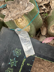 👑🌶️🌶️ Landfill — 10” Pup