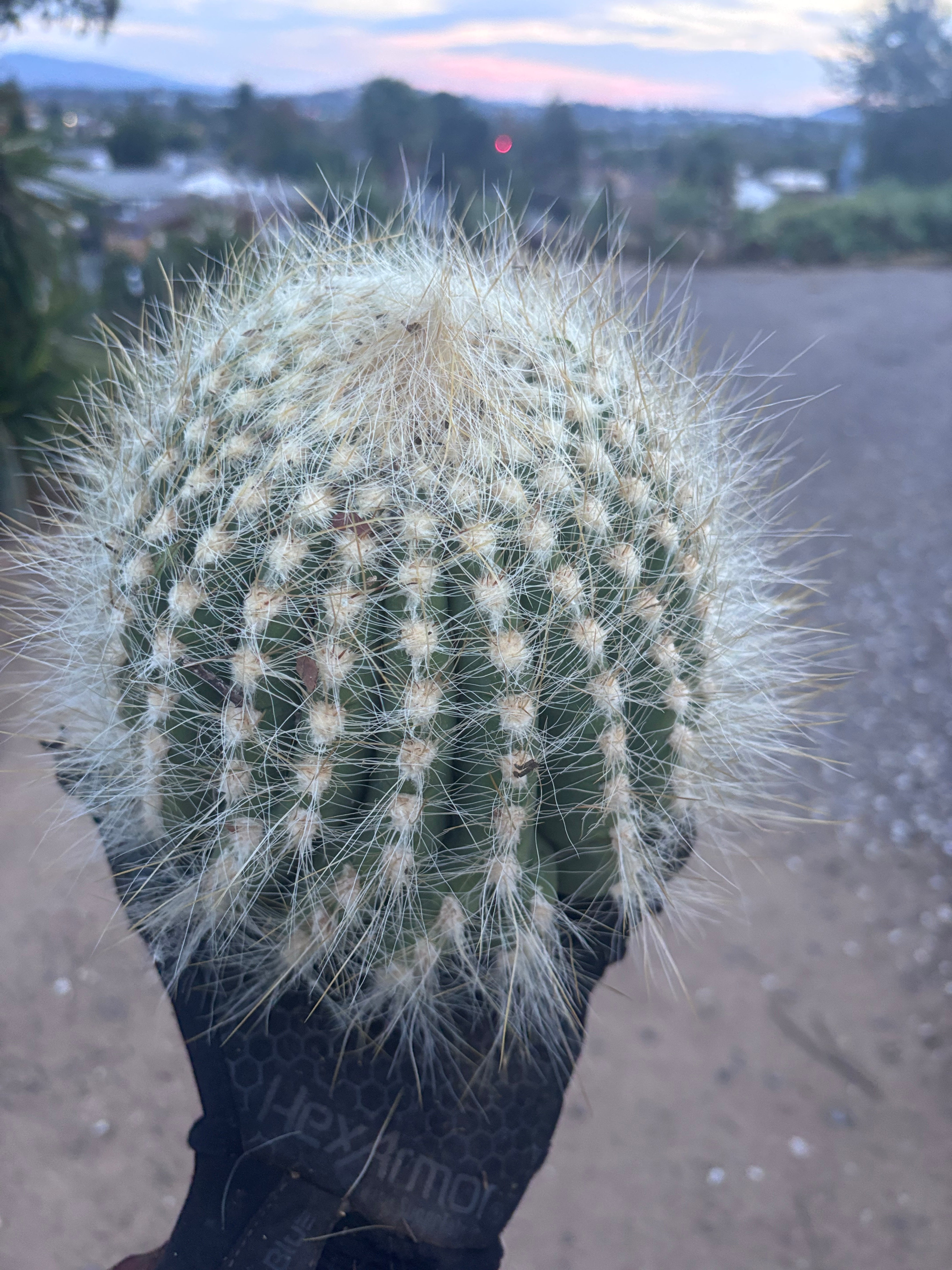 💎 Custom Order for Ty K