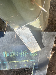 👑 T.Maranonensis — Fat Grenade Pup