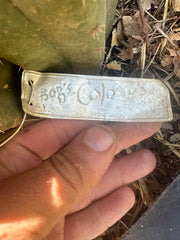 *👑🌶️ Bob’s Colossus—  Chonky 9” Pup