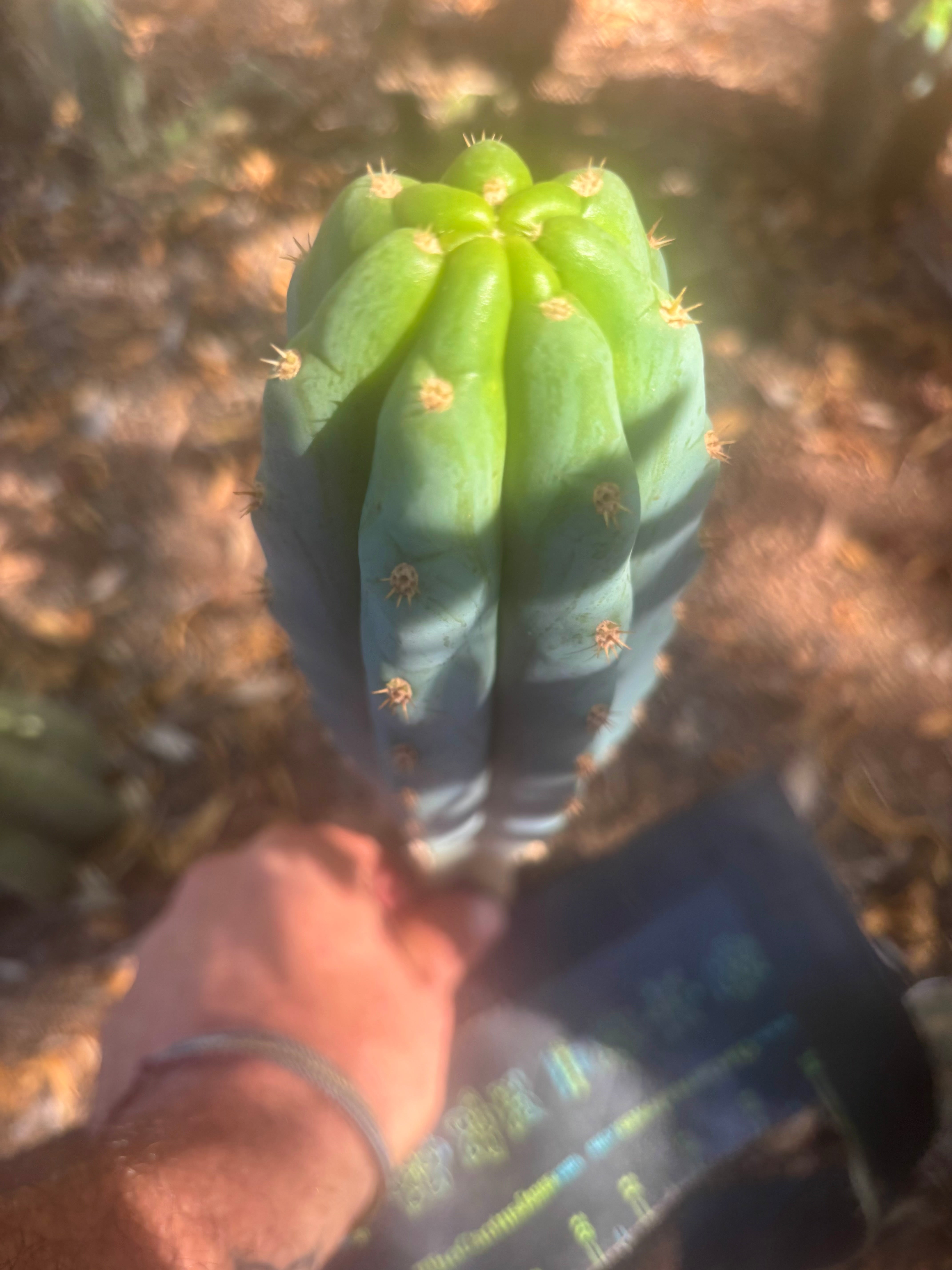 💎👑 Karta — 10” Tip (First Timer)