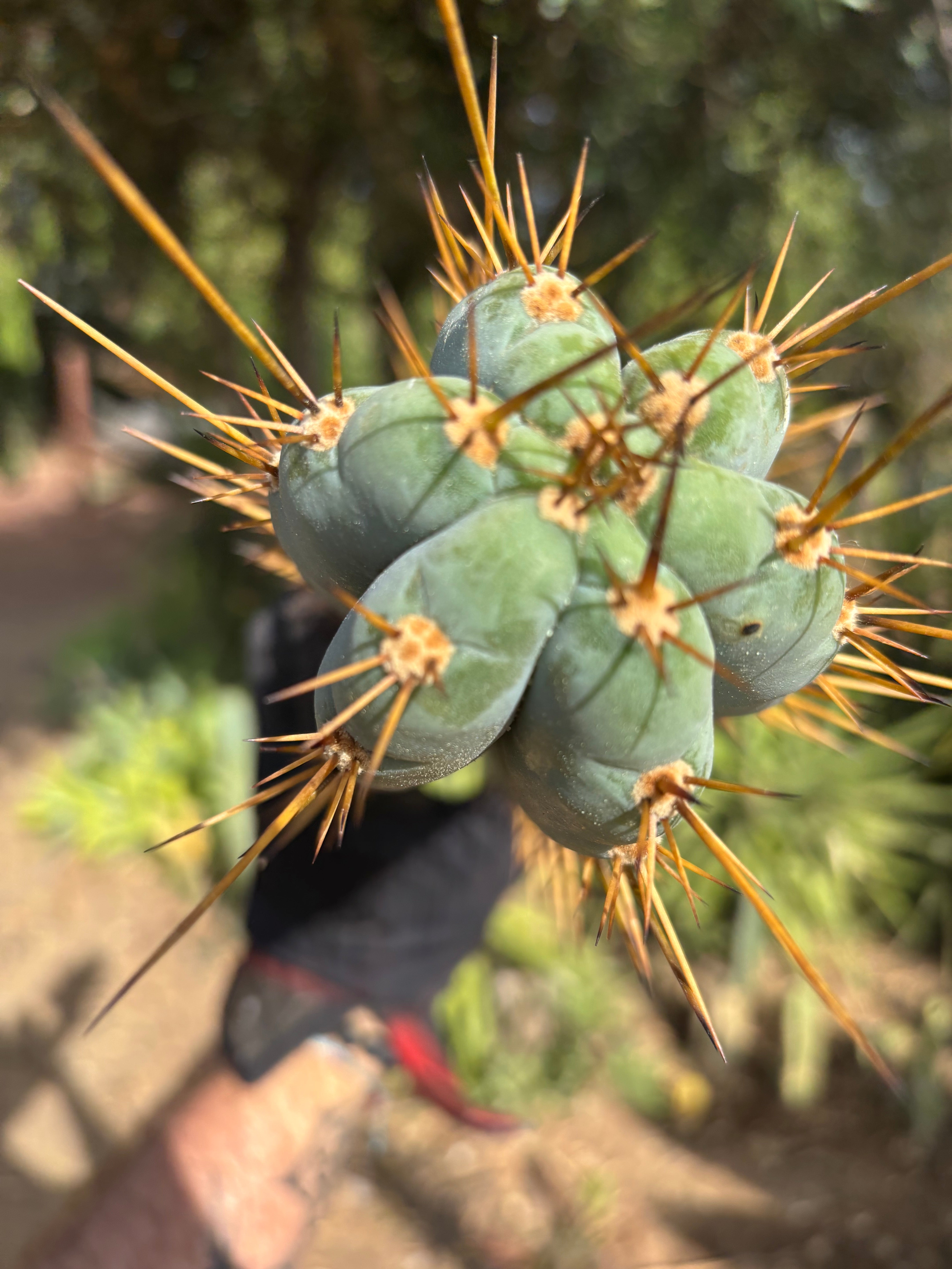 Custom Listing for JAYMATIC