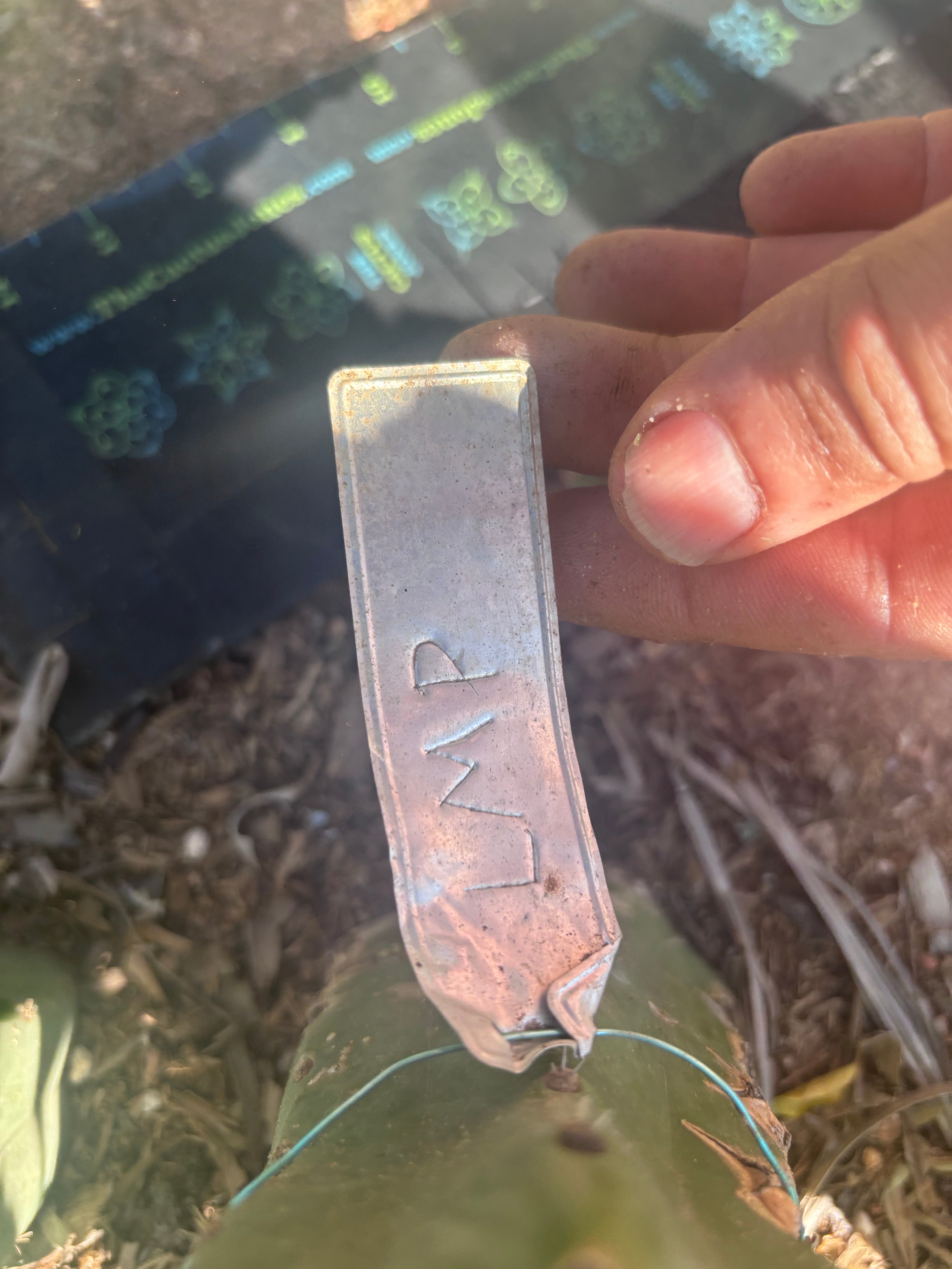 💎👑🌶️ LMP — 7” Tip