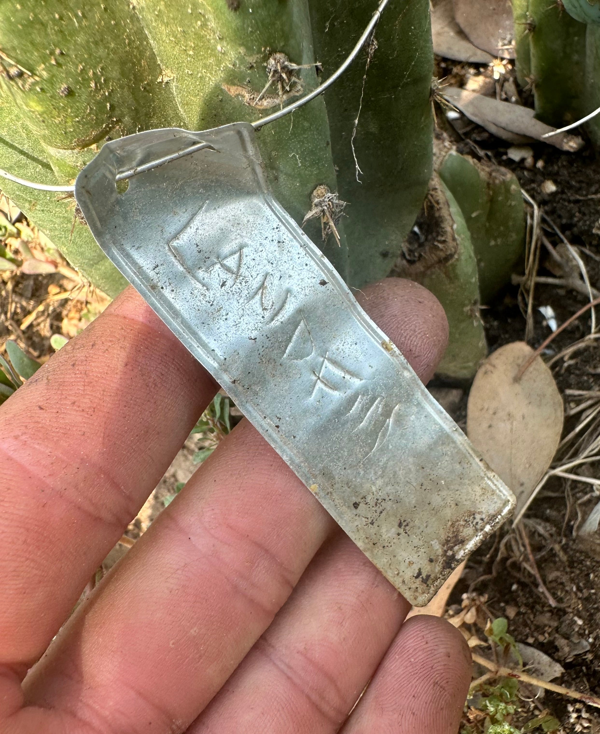 👑🌶️🌶️ Landfill — 11” Pup