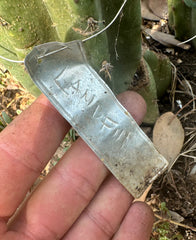 👑🌶️🌶️ Landfill — 11” Pup