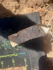 👑 Gawler — 9.5” Pup