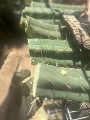 👑🌶️🌶️ Eileen — Max Thickness 14” Mid Cuts