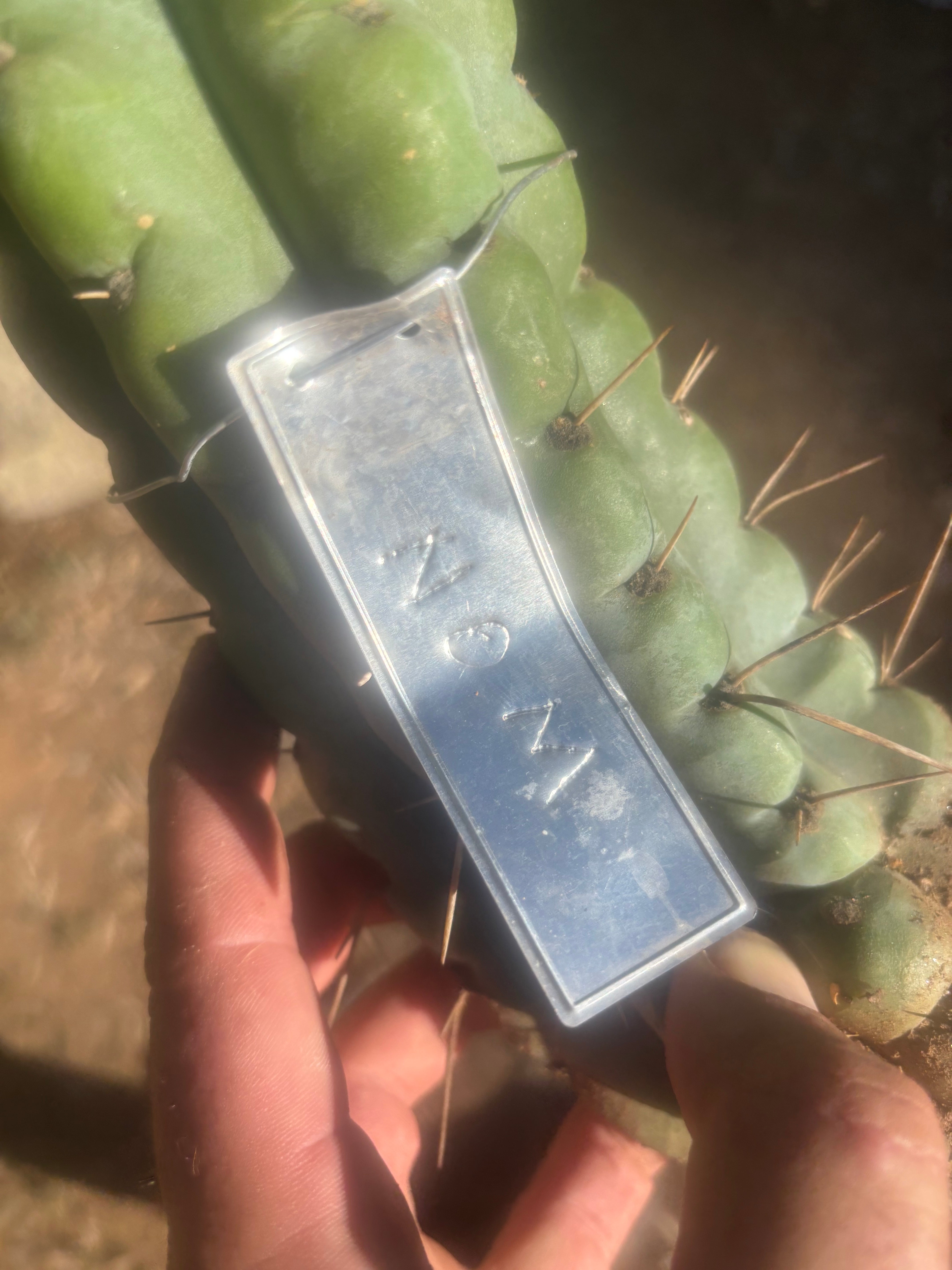 💎🌶️🌶️ NOM —  12” Notch Bomb