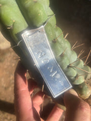 💎🌶️🌶️ NOM —  12” Notch Bomb