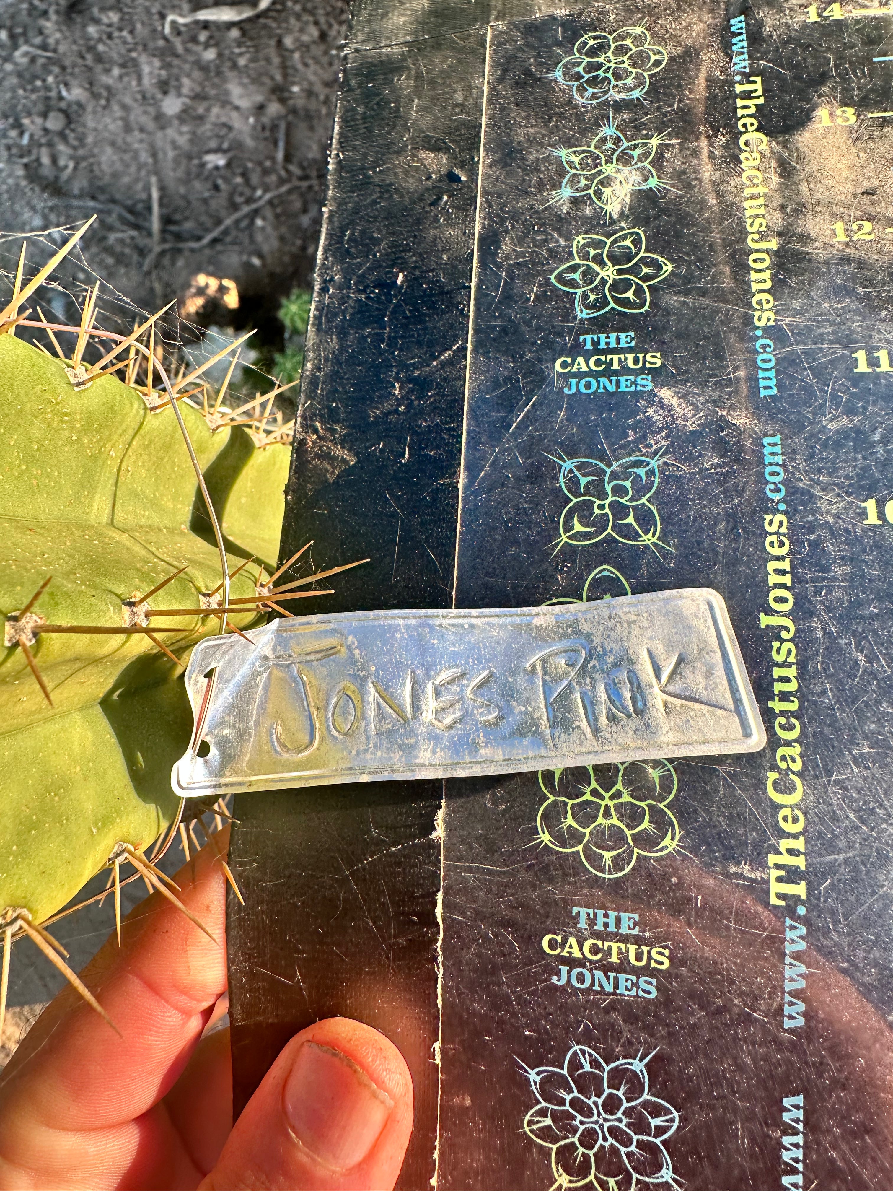 👑 Jones Pink 🌸 — FAT Tip