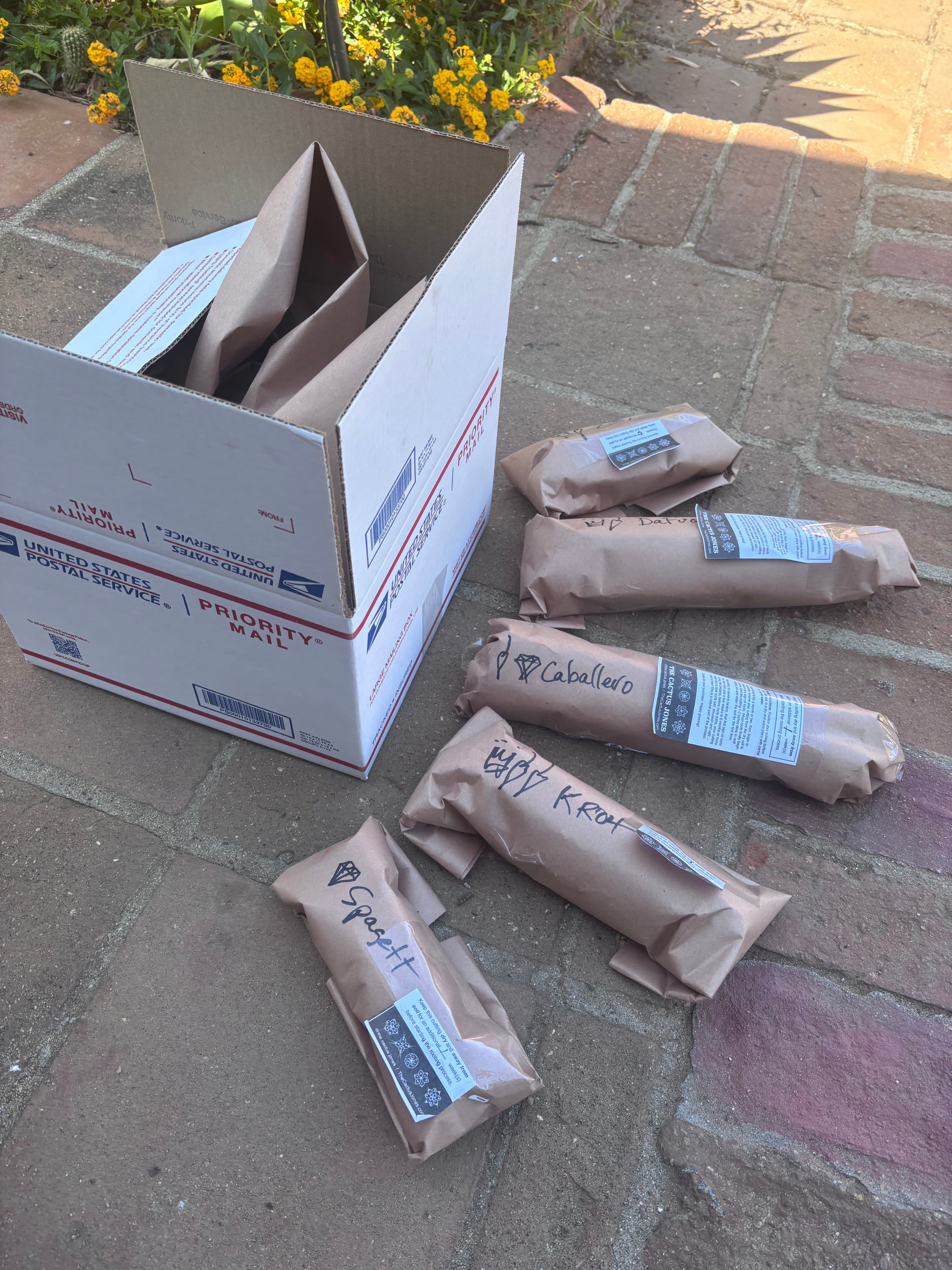 The Jones Mystery Box (Restocked)