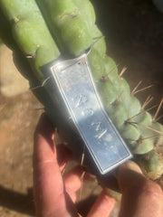 💎🌶️🌶️ NOM —  12” Notch Bomb
