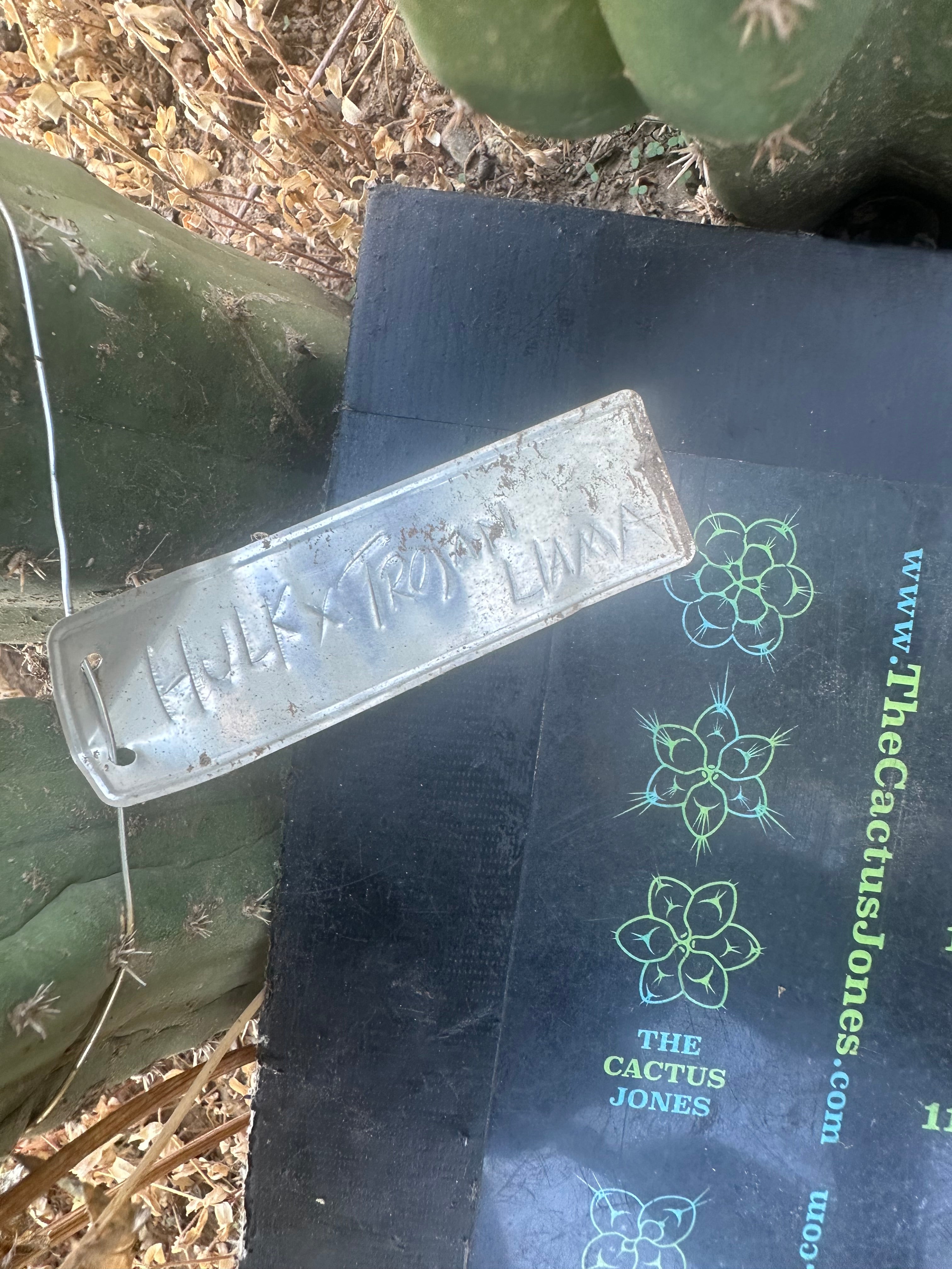 Hulk x Trojan Llama — 14” Tip (XL Cut)