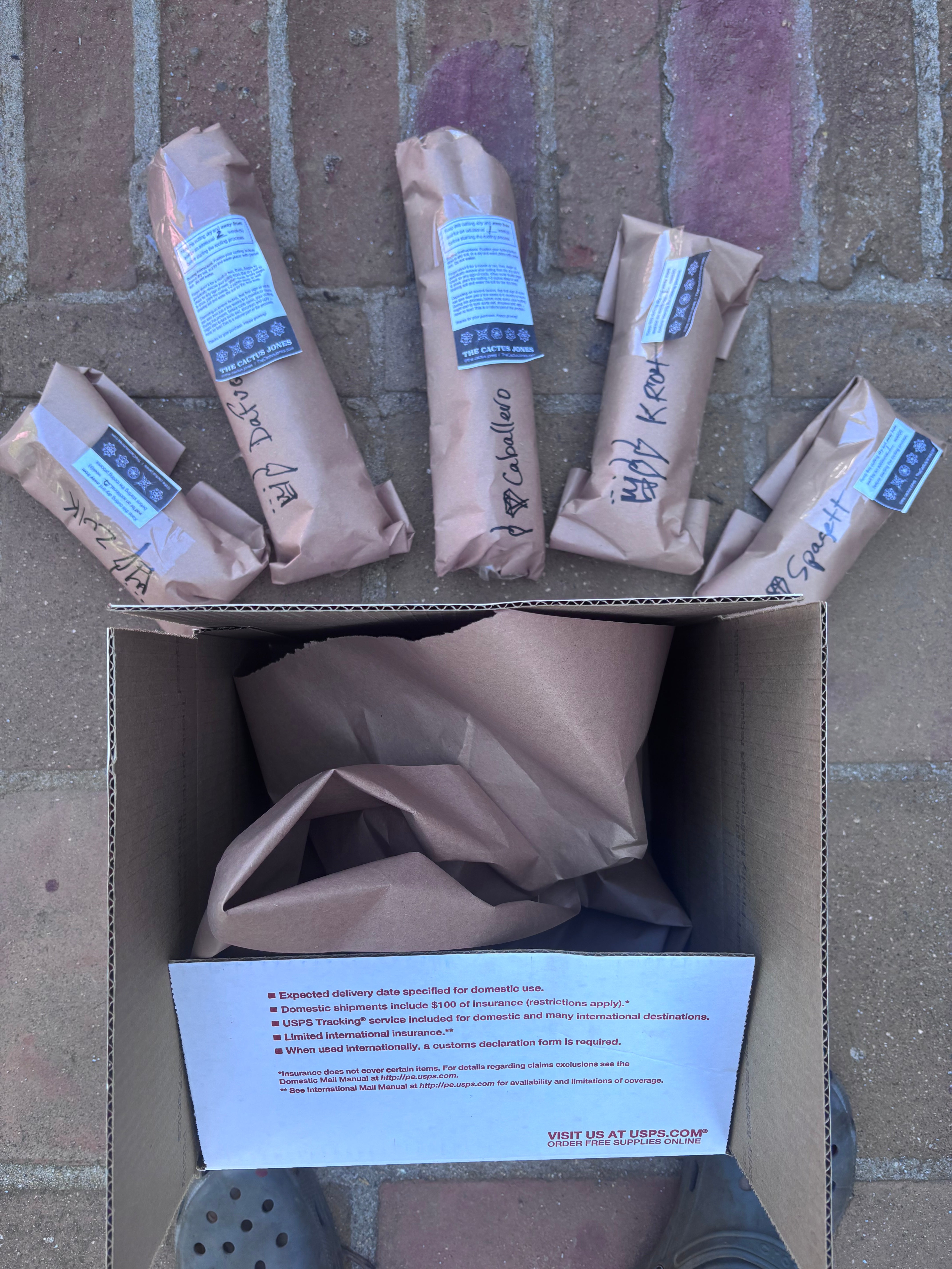 The Jones Mystery Box (Restocked)