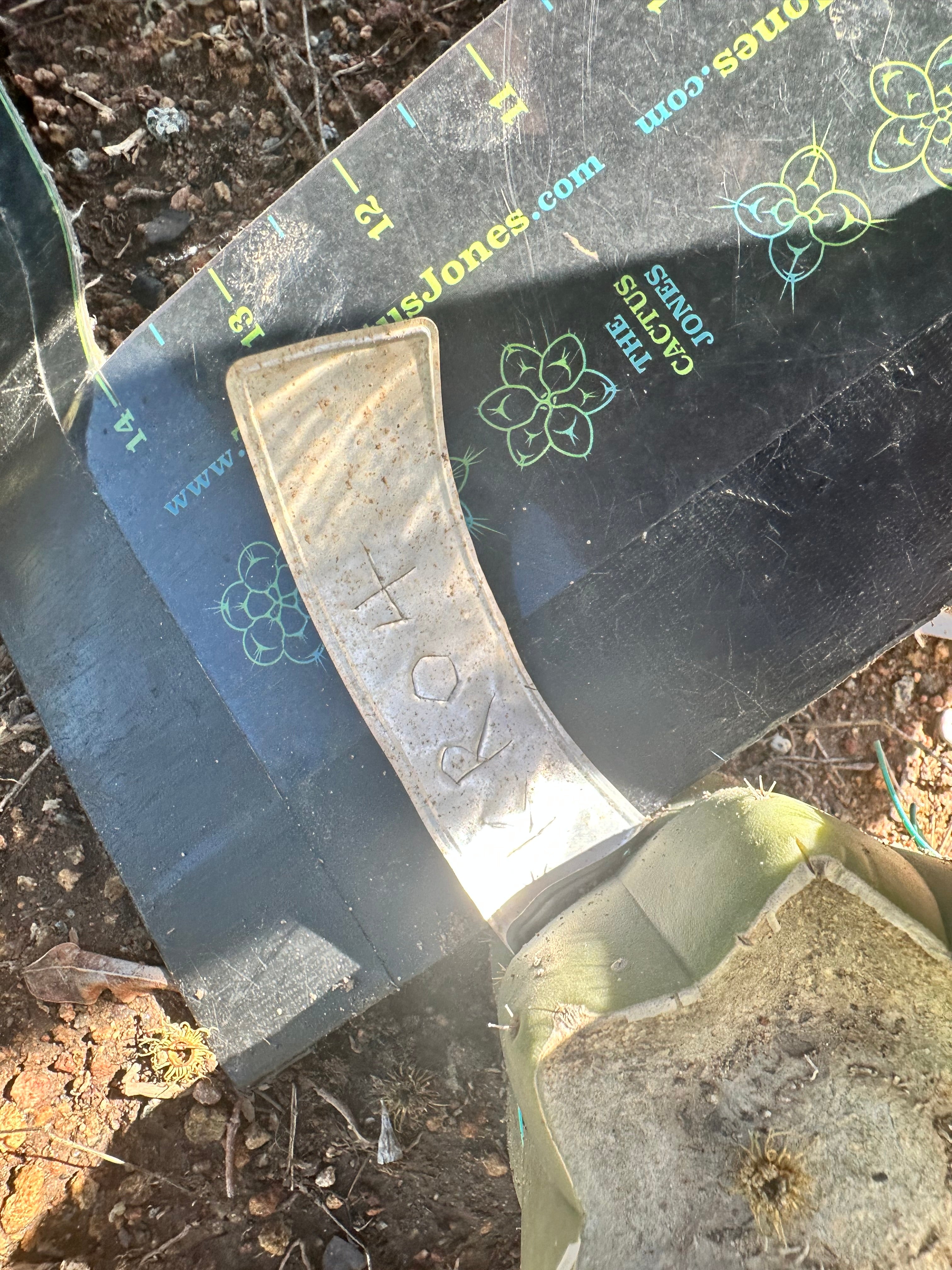 👑🌶️🌶️ KR04 — 6” Tip