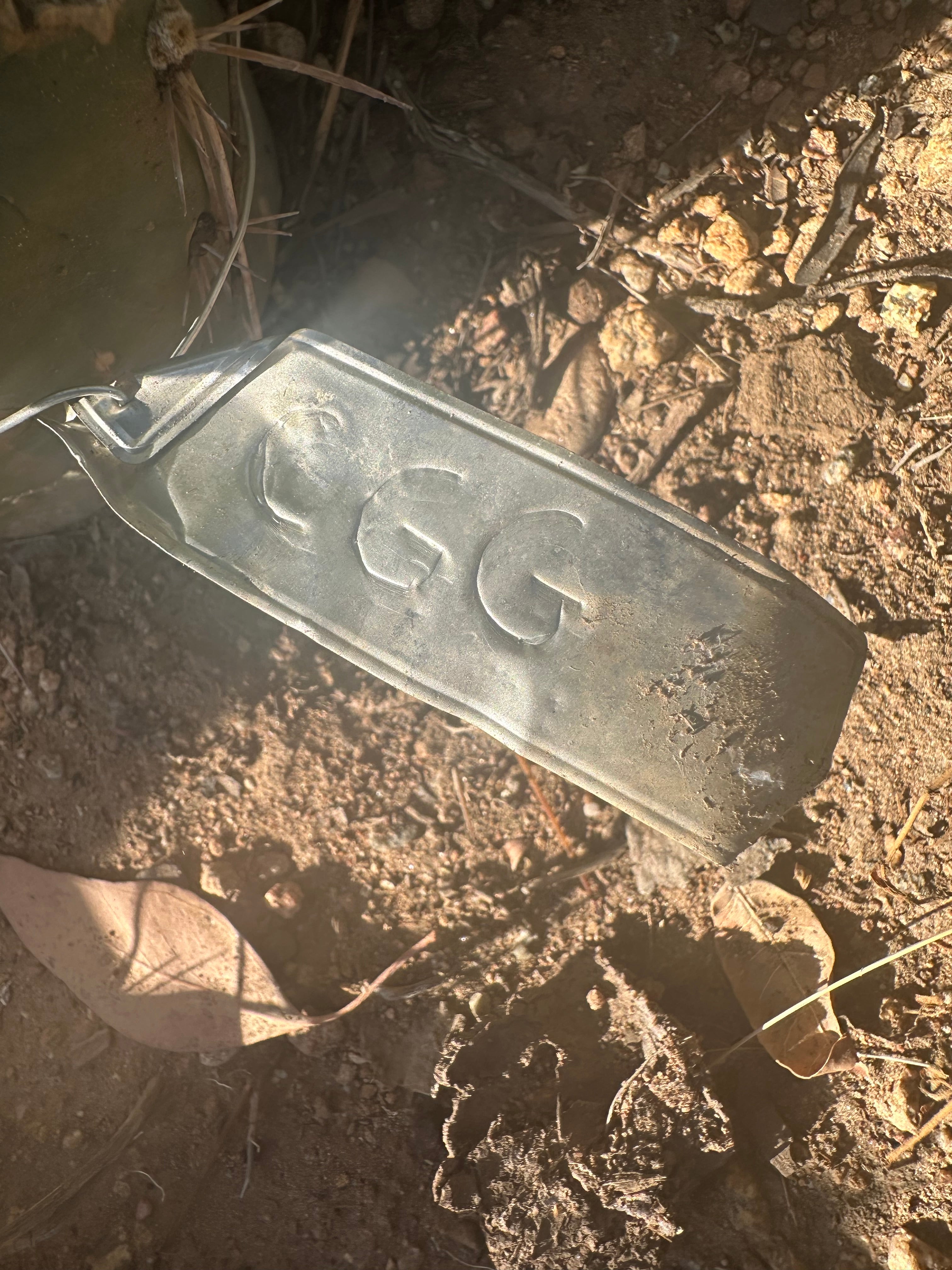 💎👑🌶️ CGG — 12” Melon