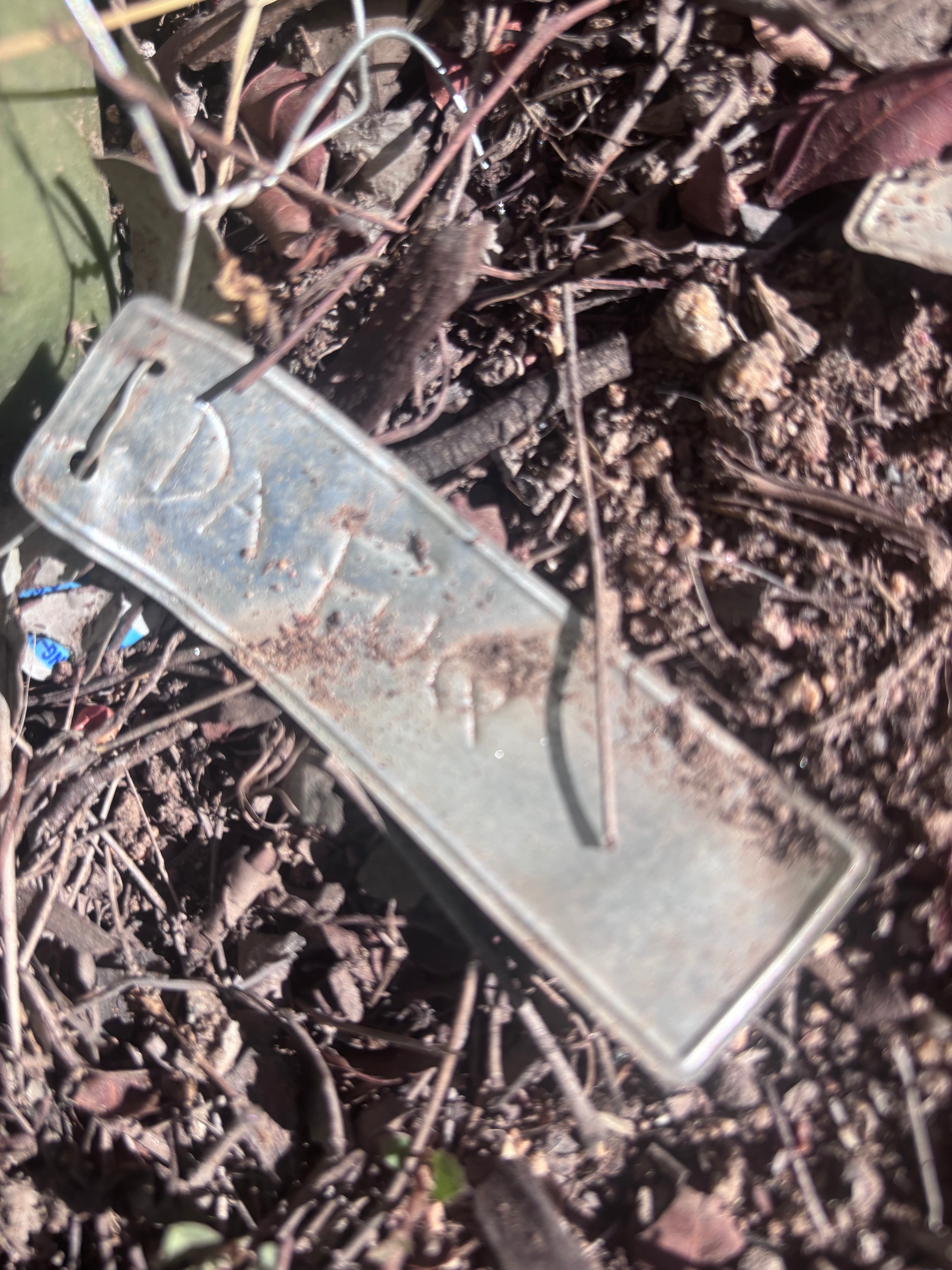 👑🌶️ DaFuq —  13” Pup