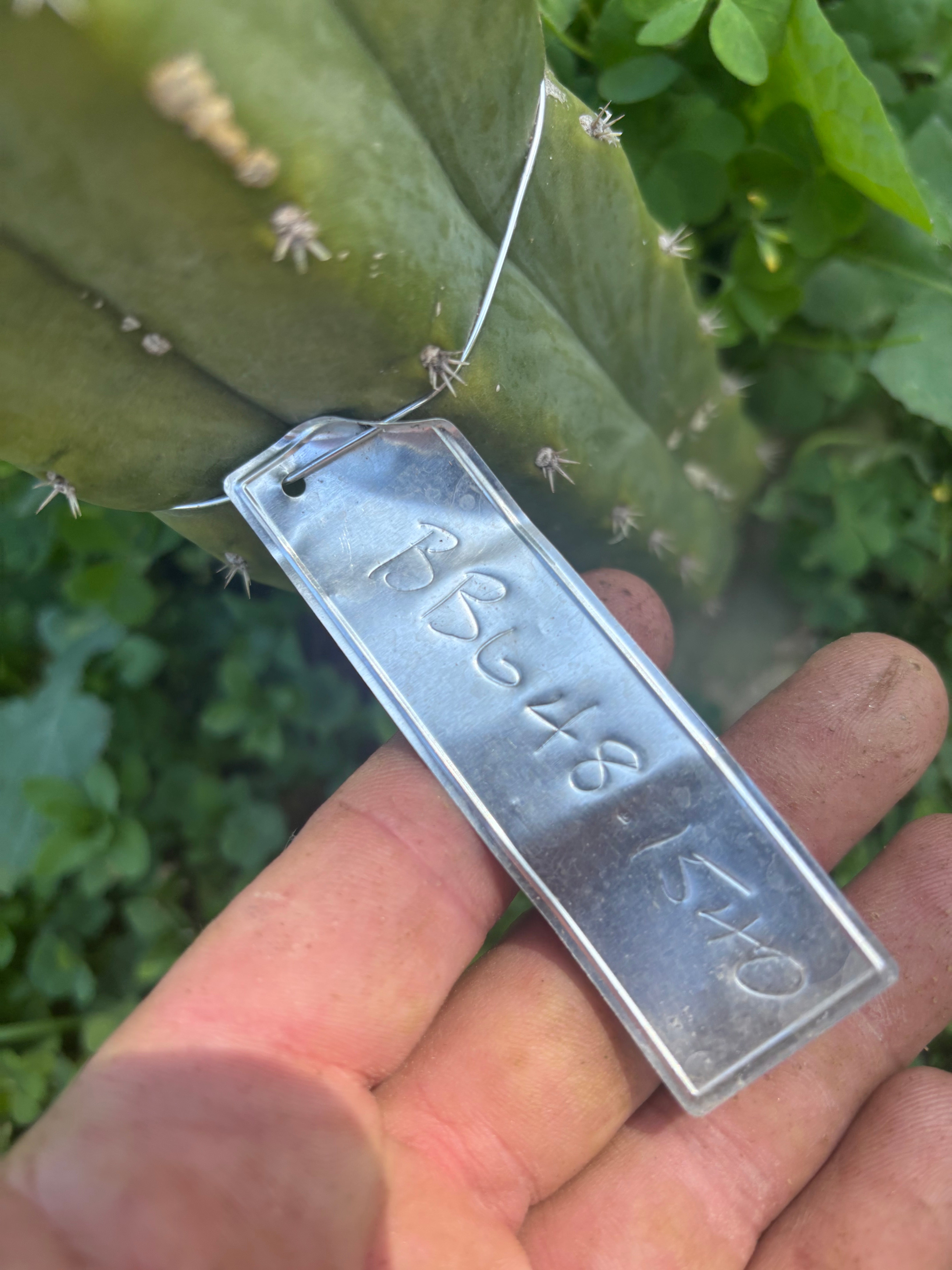 💎👑 BBG48.1540 — Chunky 5” Degraft Tip