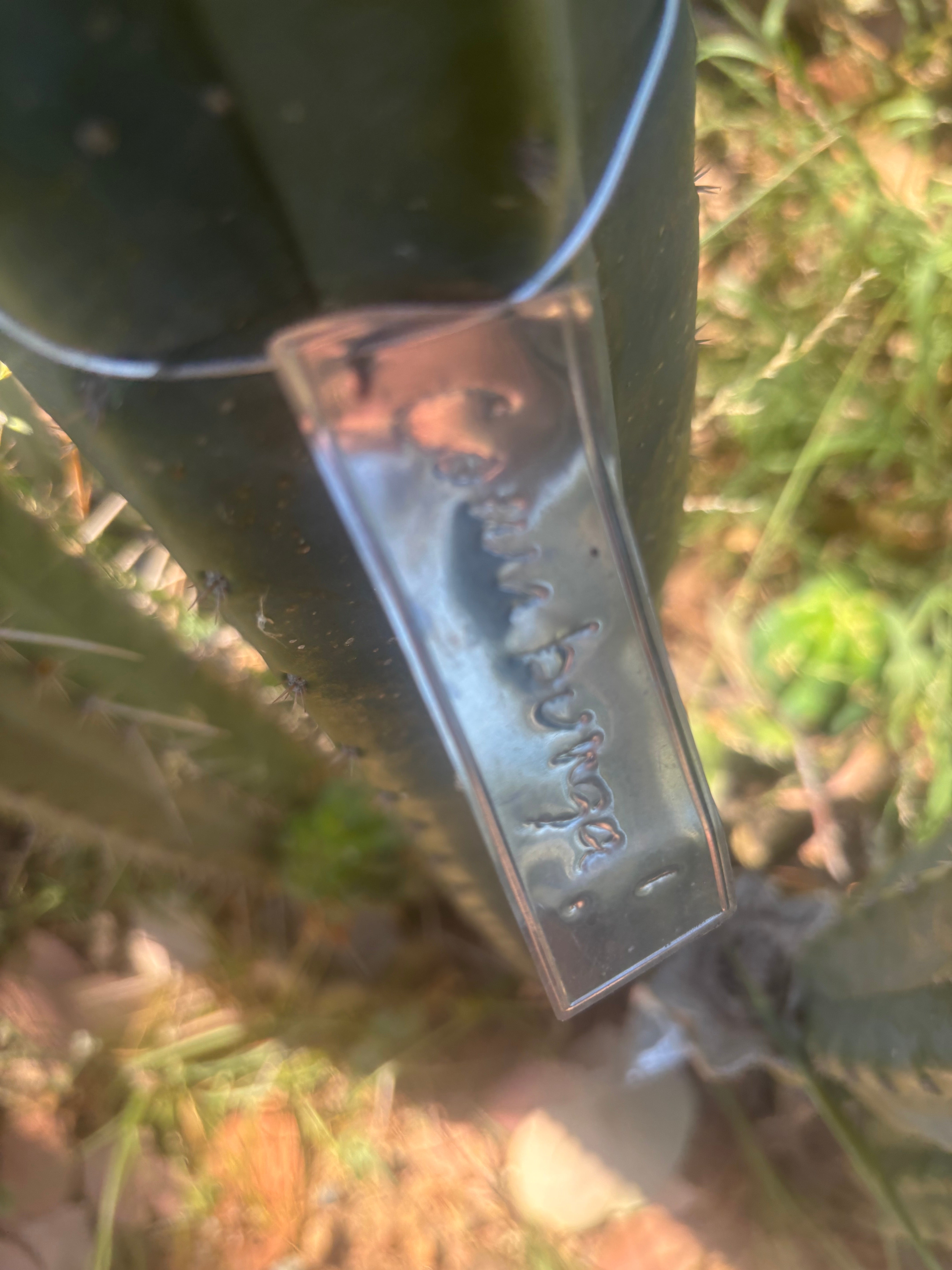 💎👑💎 Cowabunga  — 4” Tip