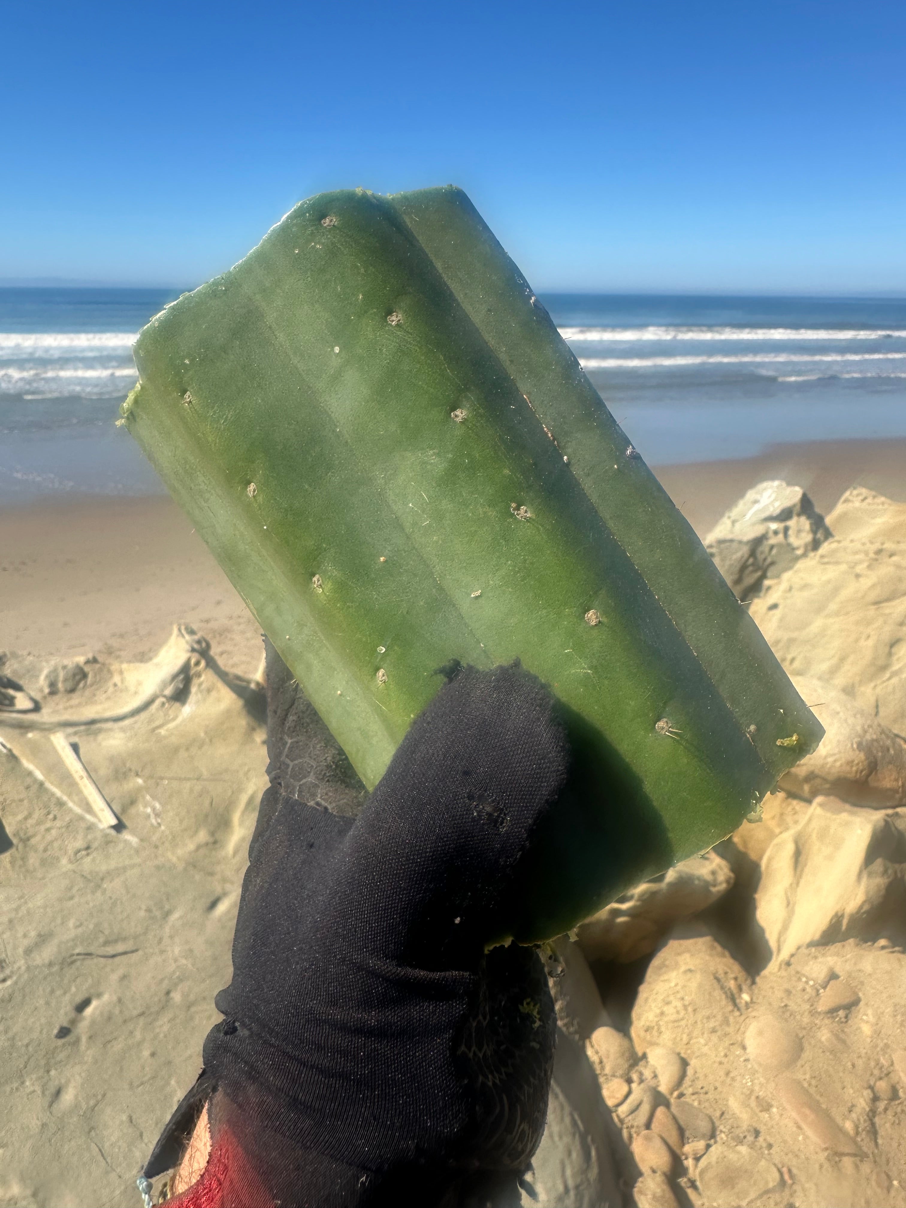 👑🌶️ Tom Juuls Giant  — 7” Mid Chonks