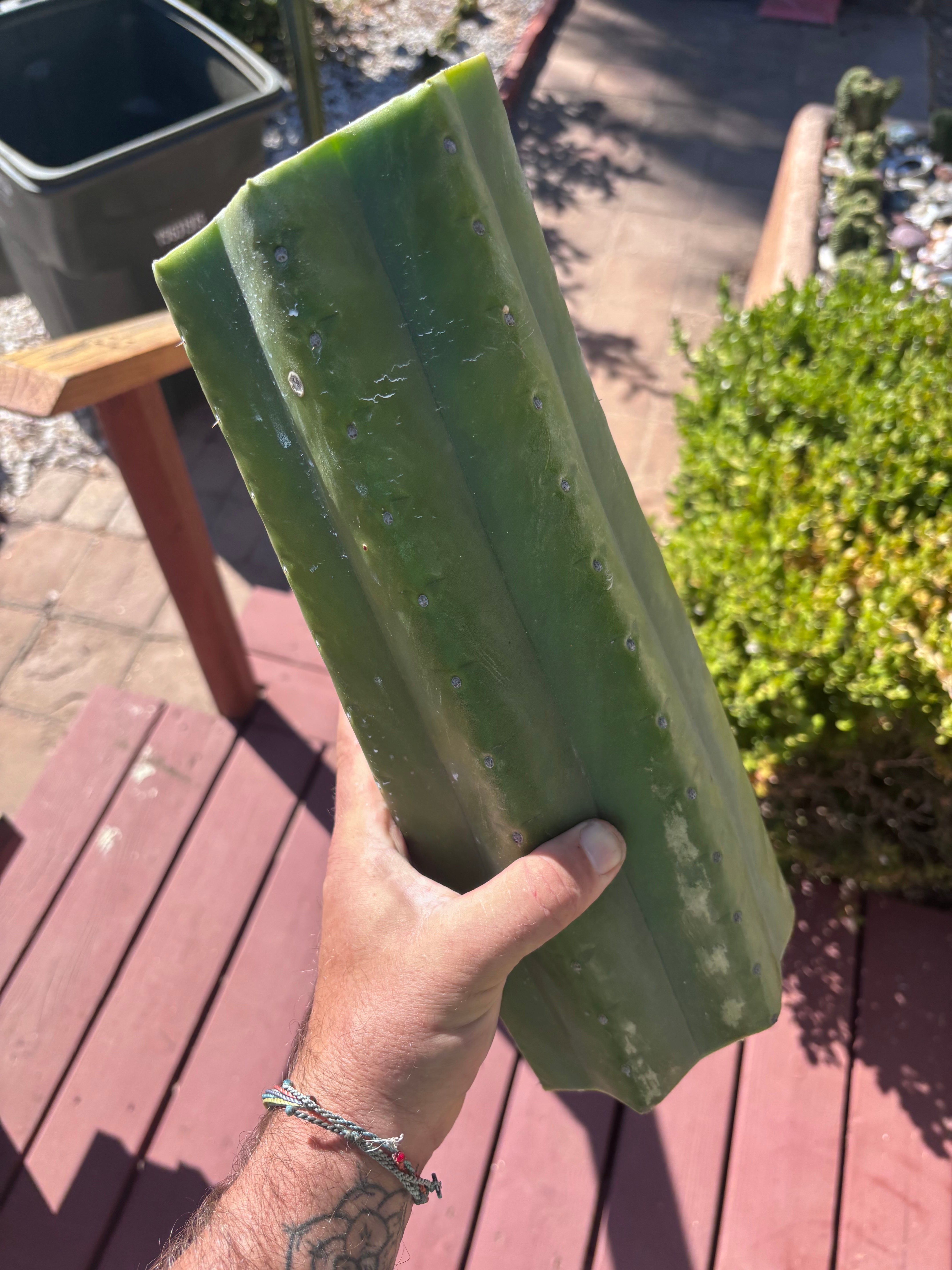 👑💎🌶️ The Fattest Soozy Mids I’ve Ever Listed (2)