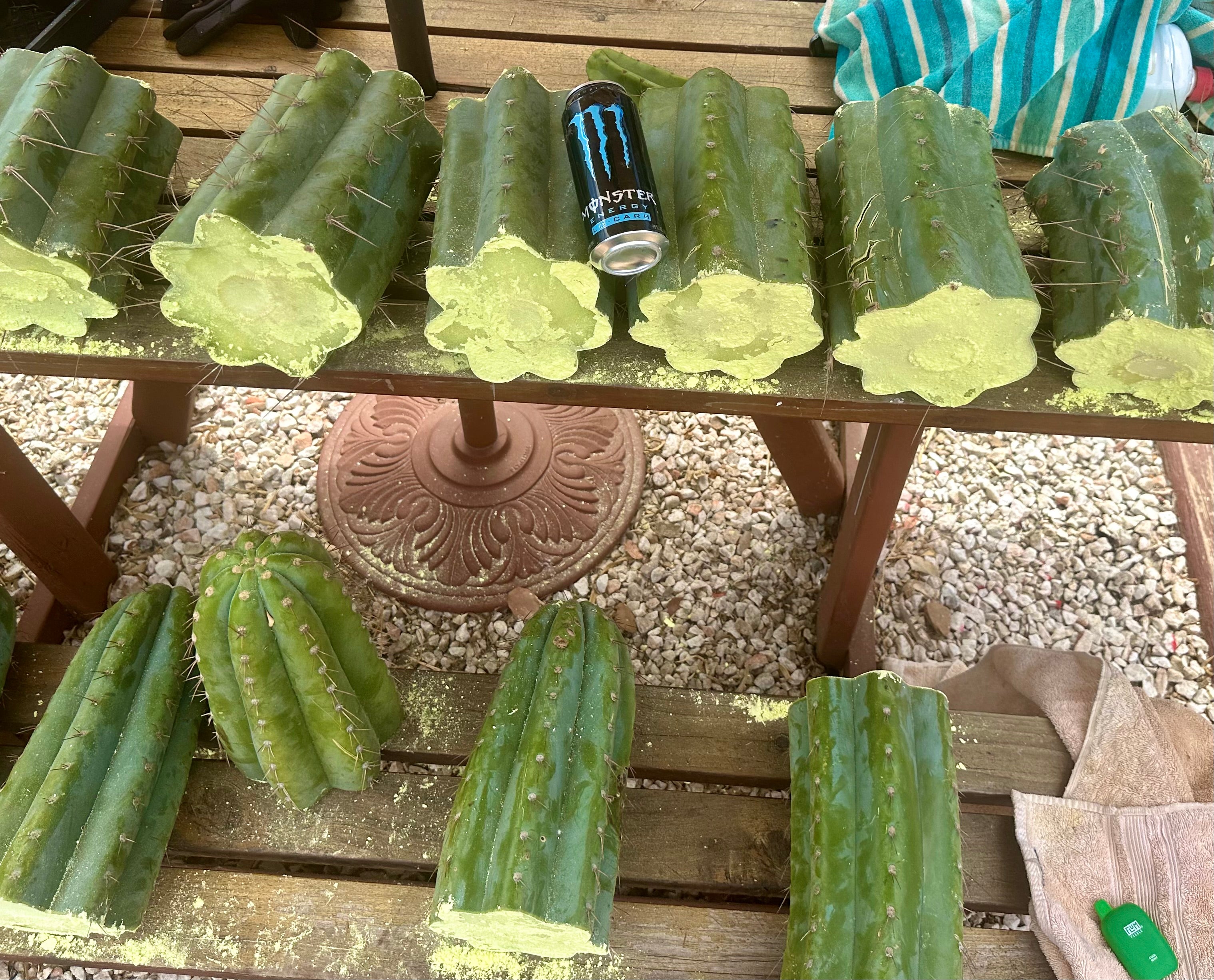 💎👑🌶️ CGG — 10” *MEGA* Mids (7)