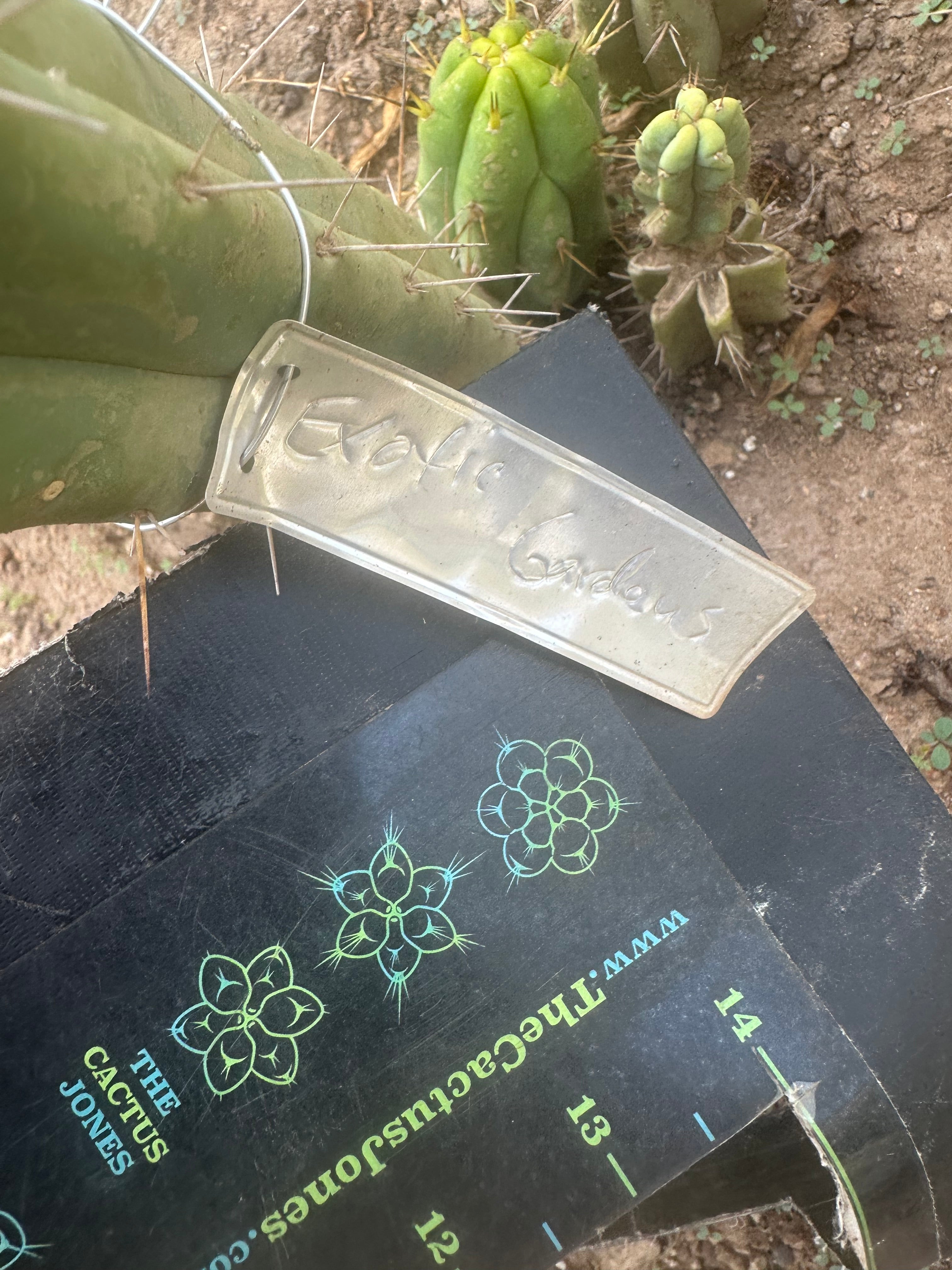 👑🌶️ Exotic Gardens Bridge — 12” Tip