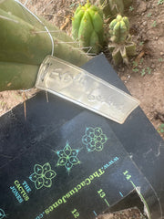👑🌶️ Exotic Gardens Bridge — 12” Tip