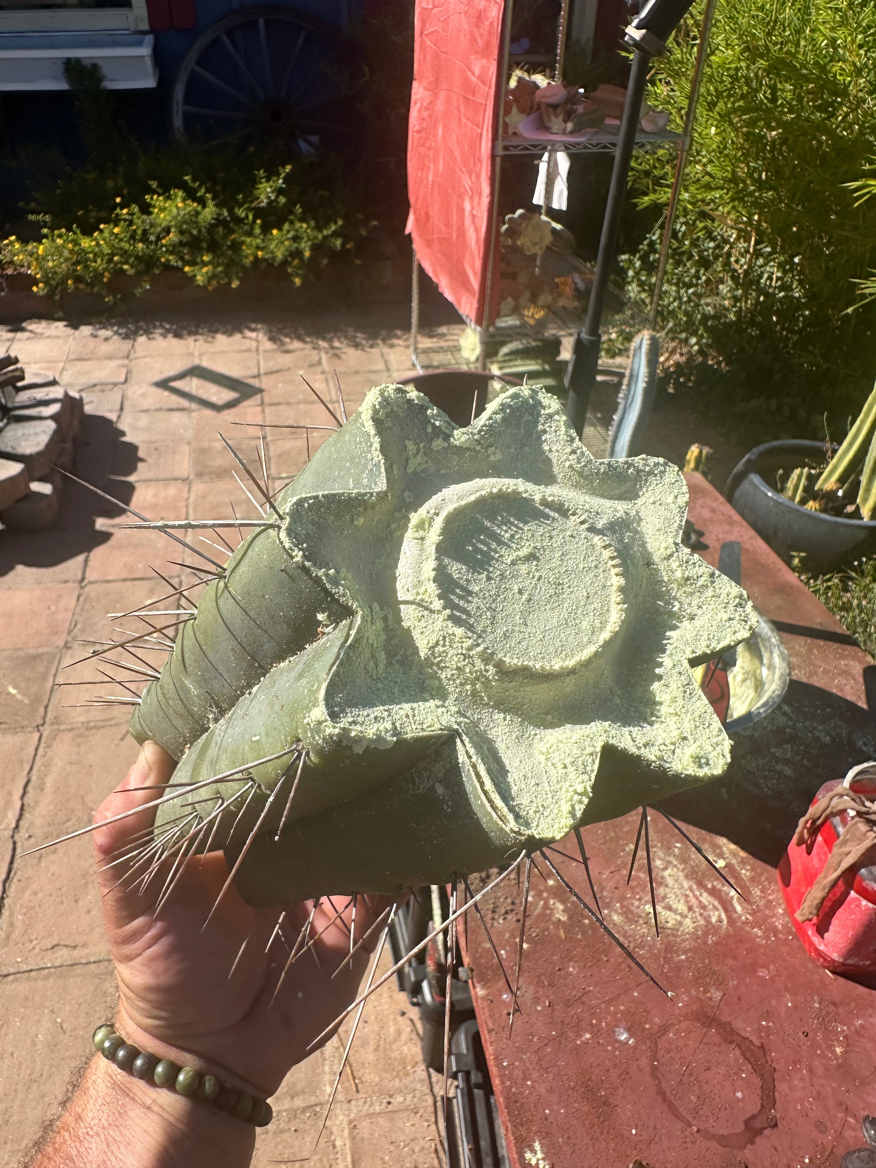 🌶️🌶️⚠️ E.R. — 9” Mega Mid (One More)