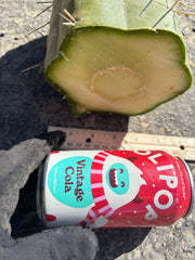 🌶️ SS02 x Yowie — MASSIVE 7” Mids