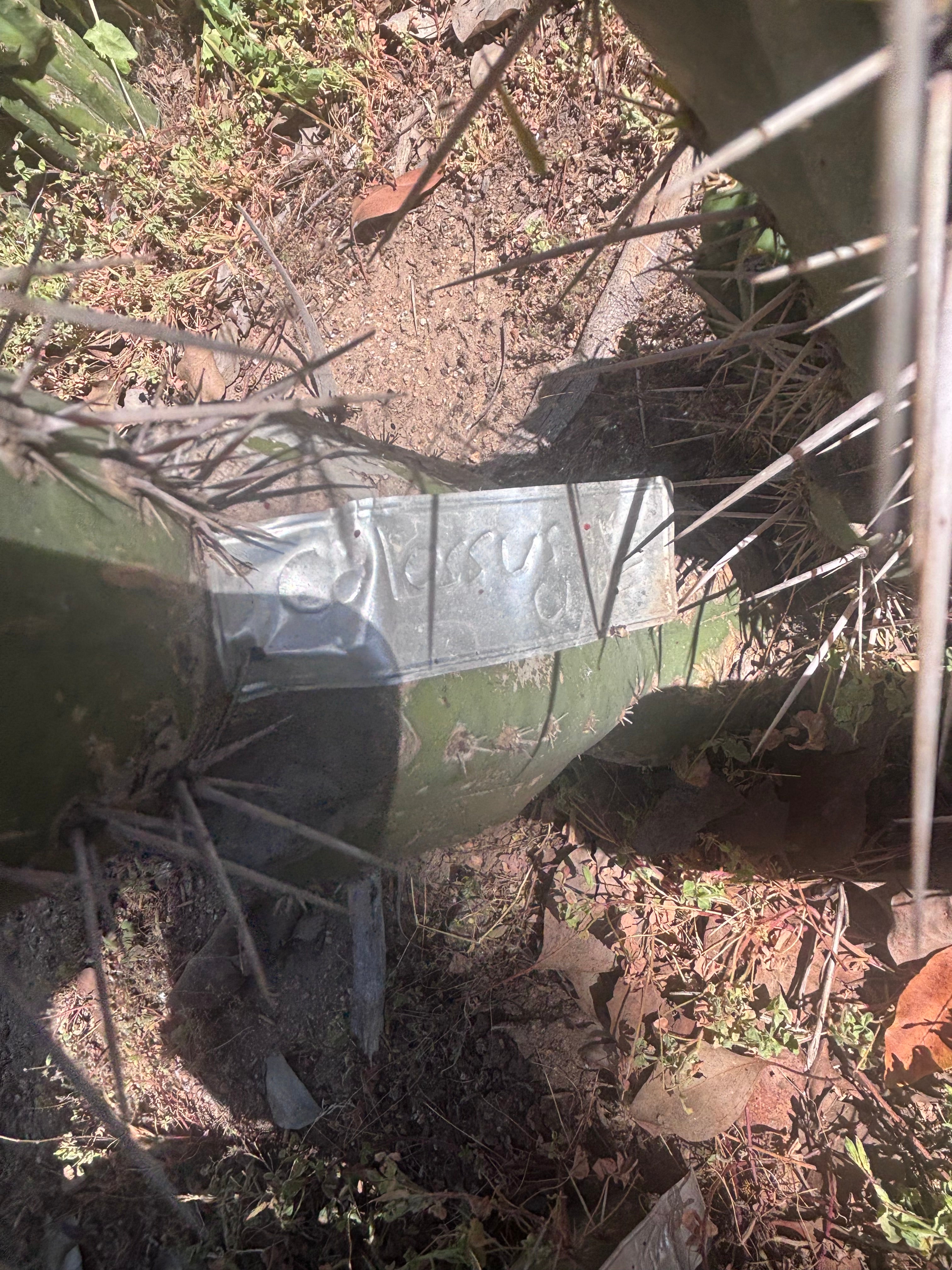 💎 Colossus x Clyde — XL 14” Tip