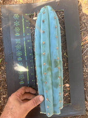 💎👑💙 Bonnaroo Blue — XL 14” Tip