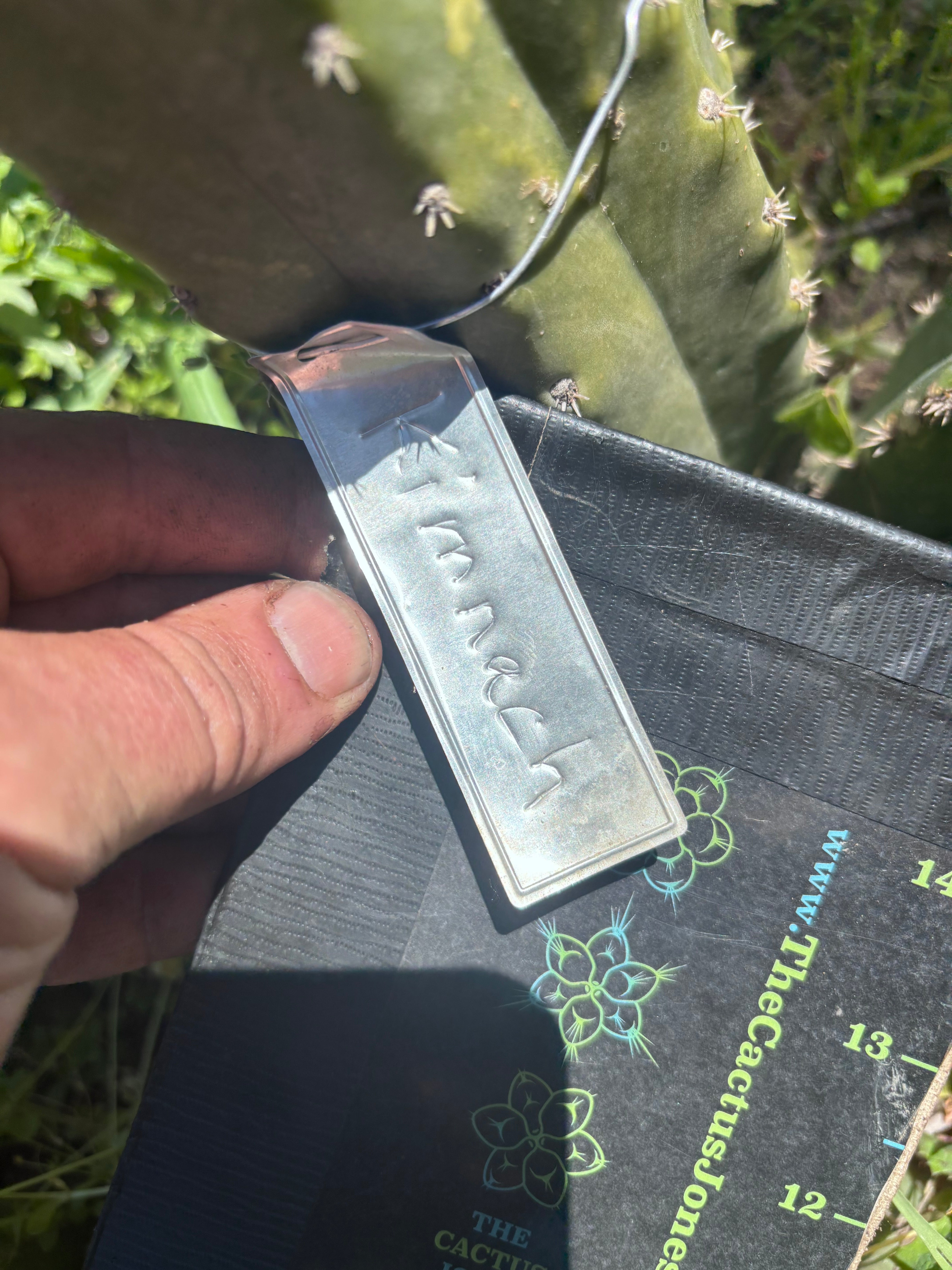 👑🌶️ Kimnach — Fat 11” Tip