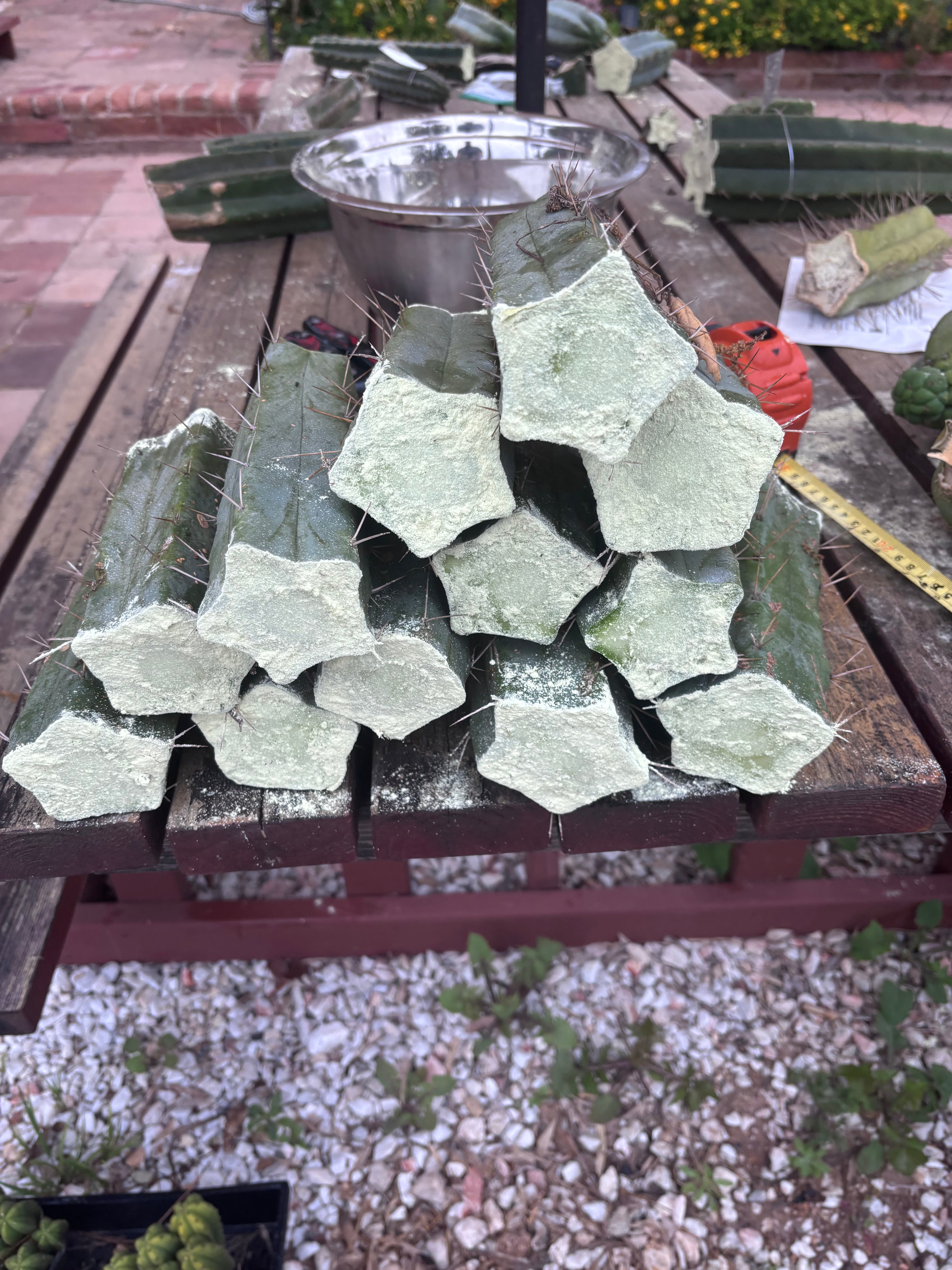 FREE ADD-ON — 🌶️ Hammer Bridge — 6” Mid