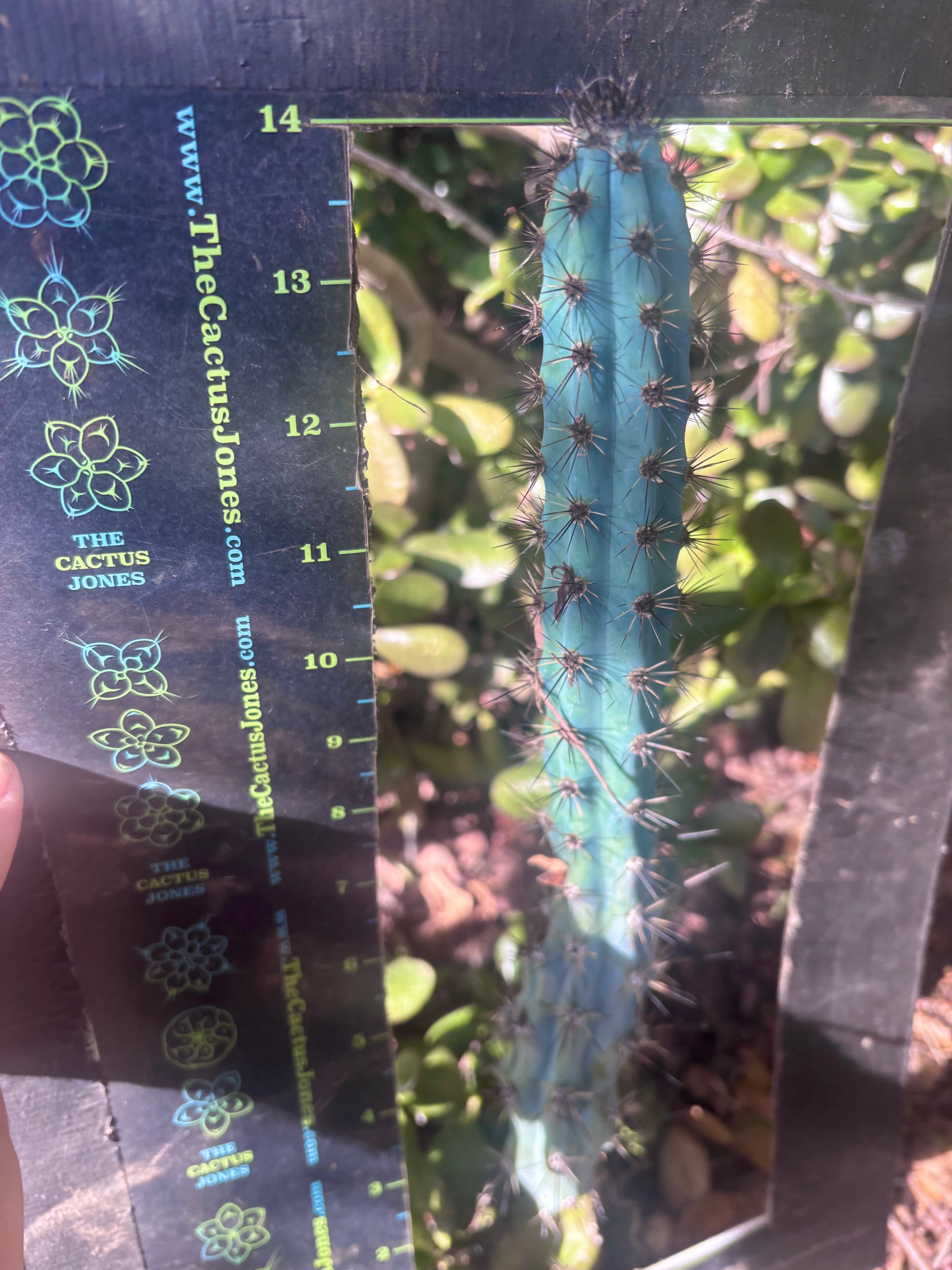 Custom Listing for James R