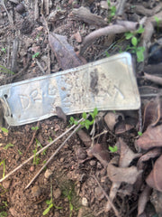 Dr. G x Sharxx  — 11” Pup