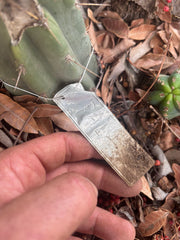 👑🌶️🌶️ Pala — 9” Tip Again