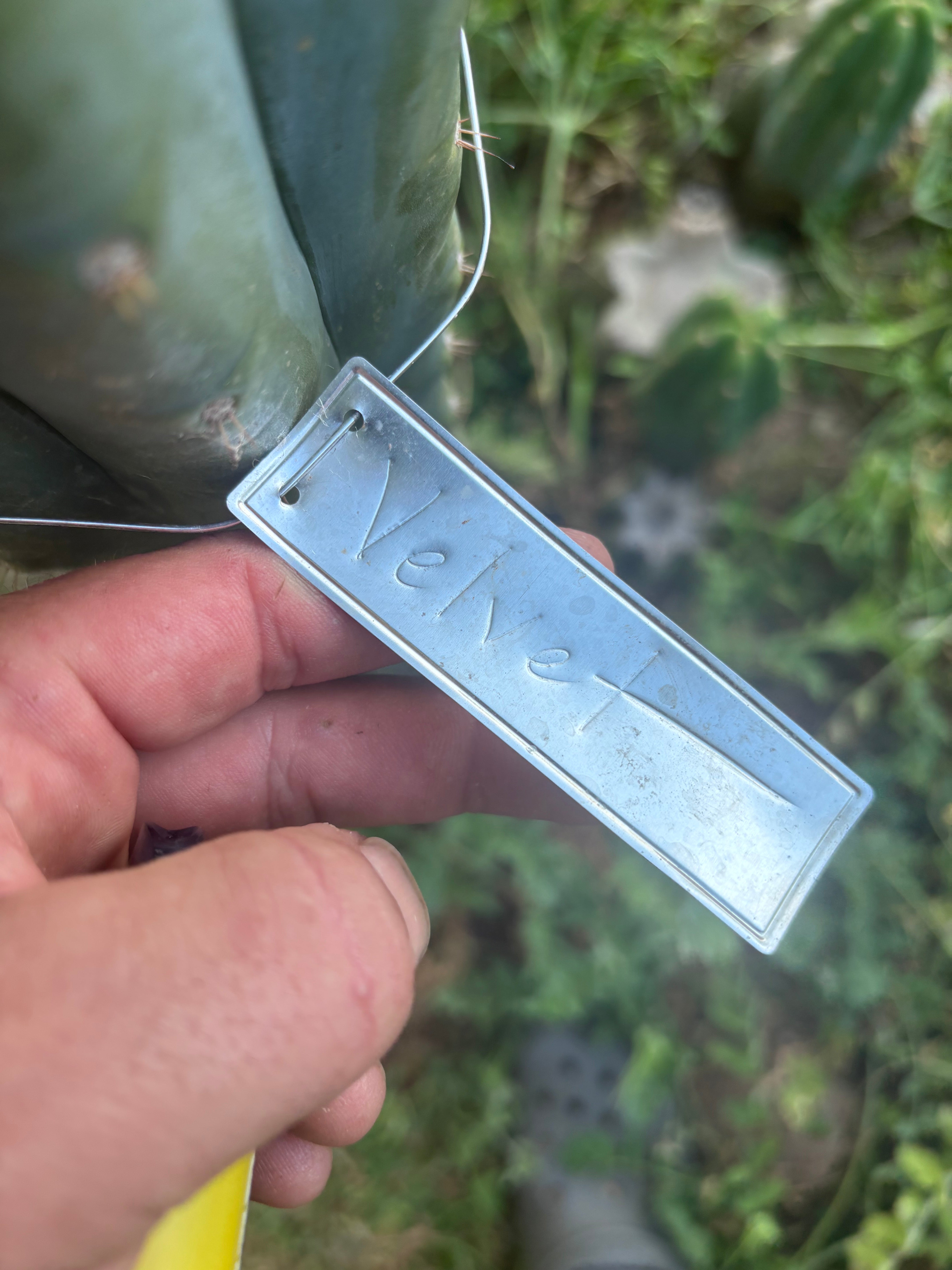 Custom Listing for Hank S