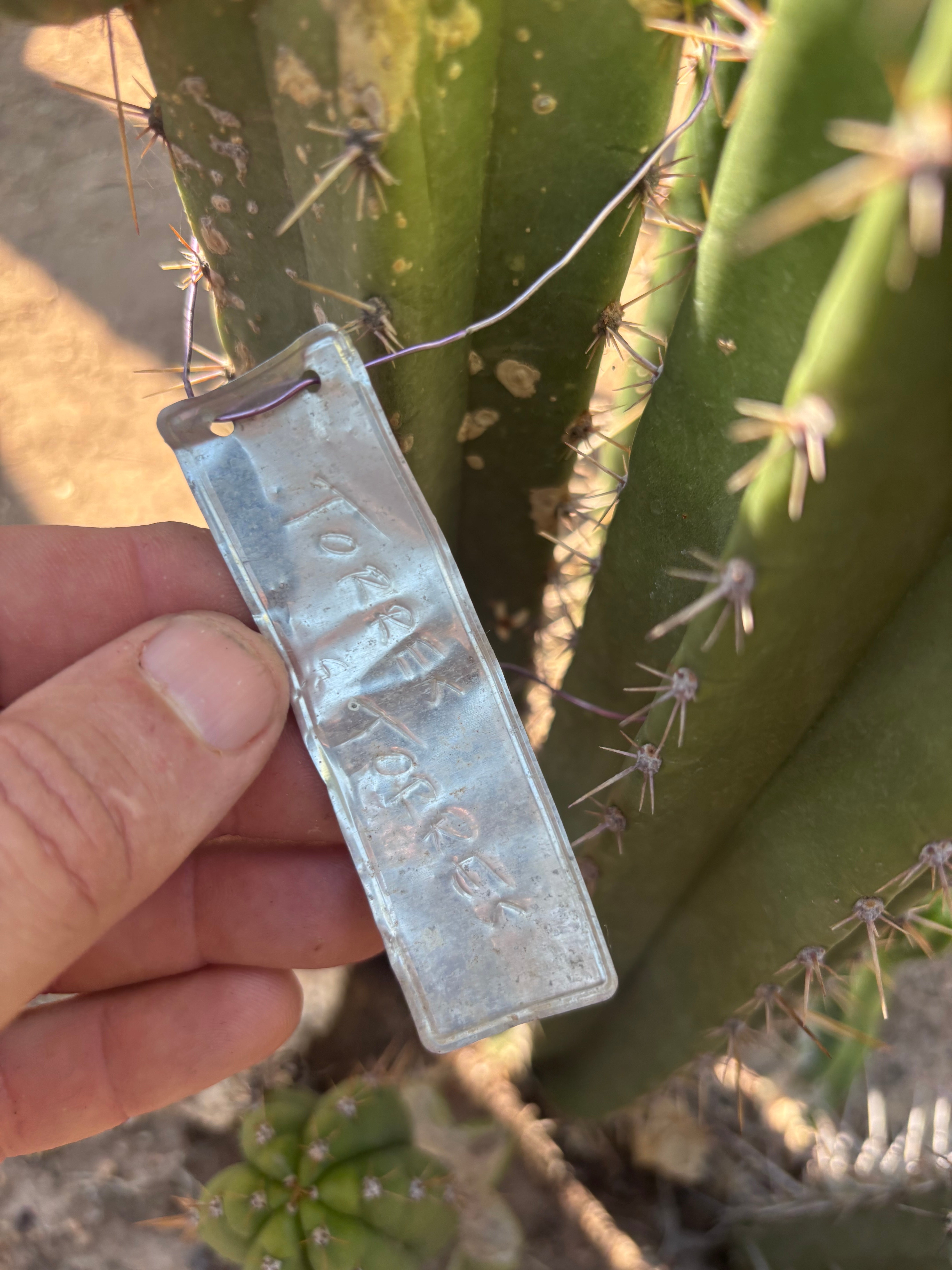 👑🌶️ Torres & Torres — 14” Tip