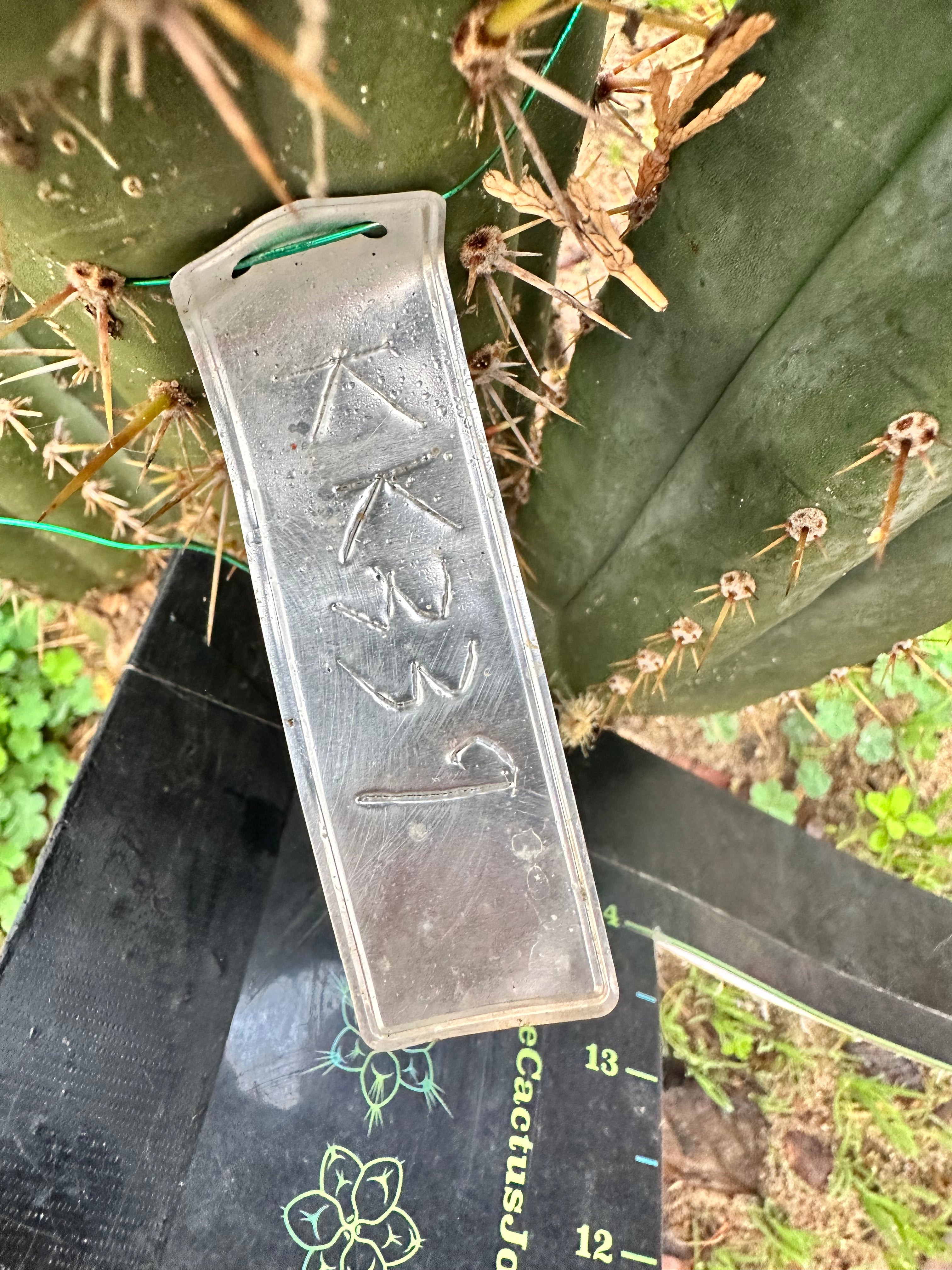 👑 KK339 — 4-5” Cutting.  FREE ADD-ON ITEM